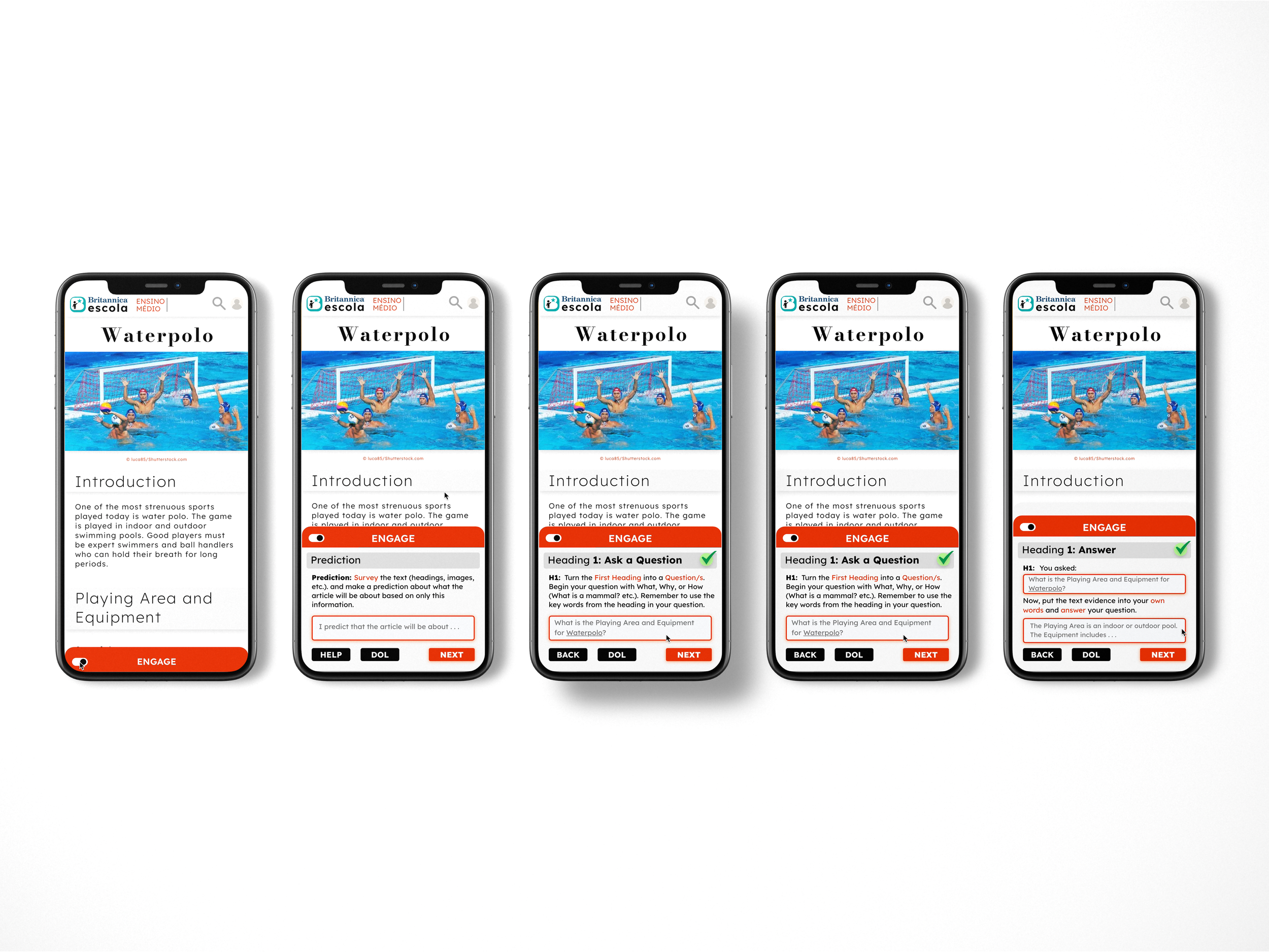 Group Mockup.png