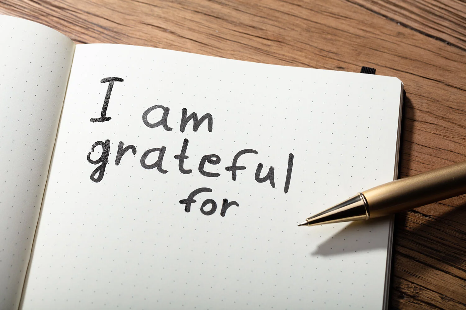 We Are Grateful For 2019 - Mission Capital