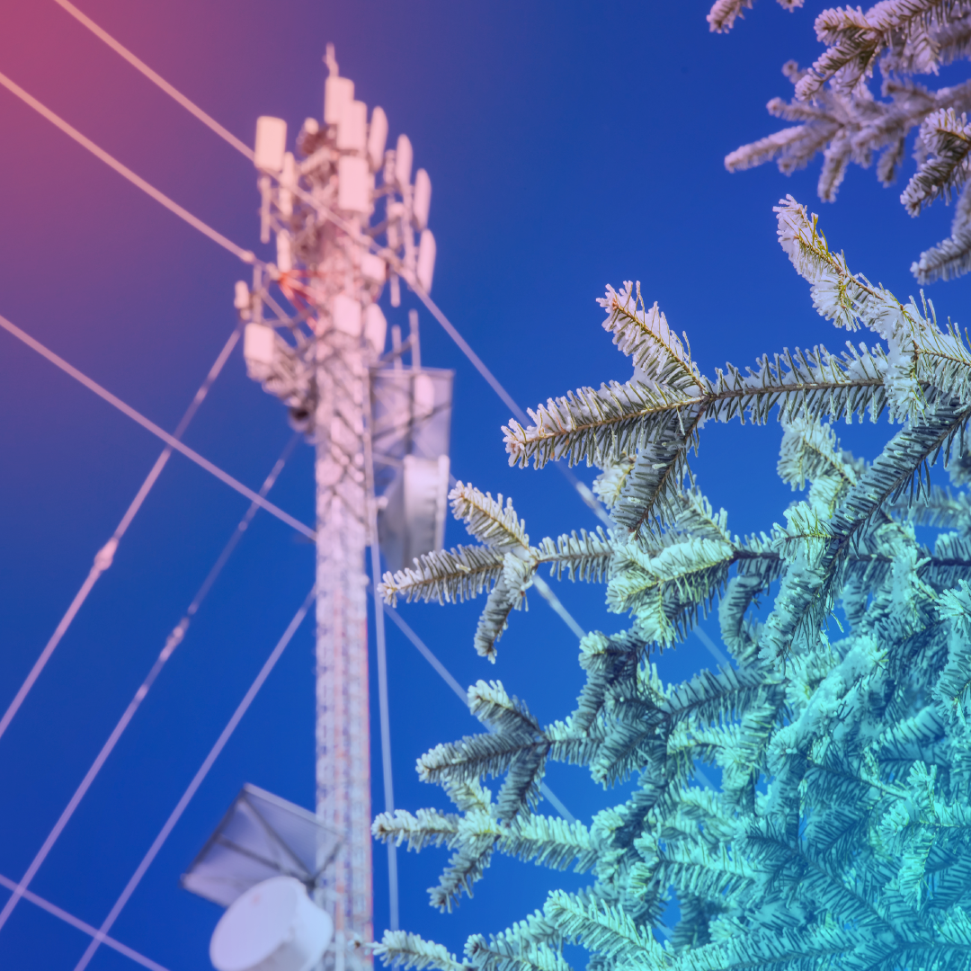 Issues Our Sector Should Prepare for in 2022