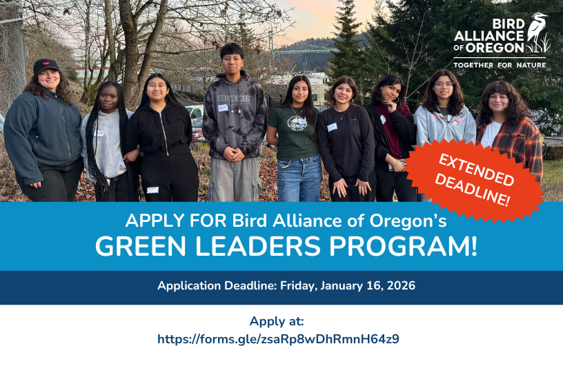 Apply for Bird Alliance of Oregon's Green Leaders Program 