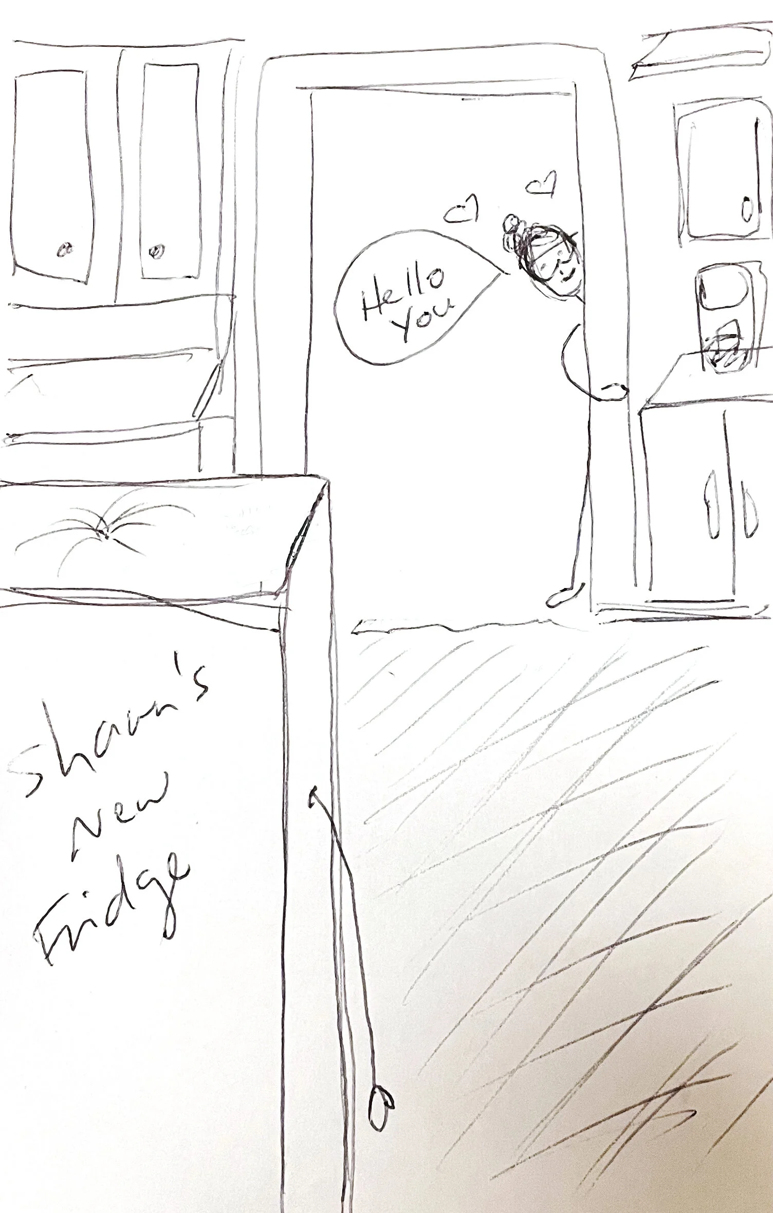 Shawn loves his new fridge