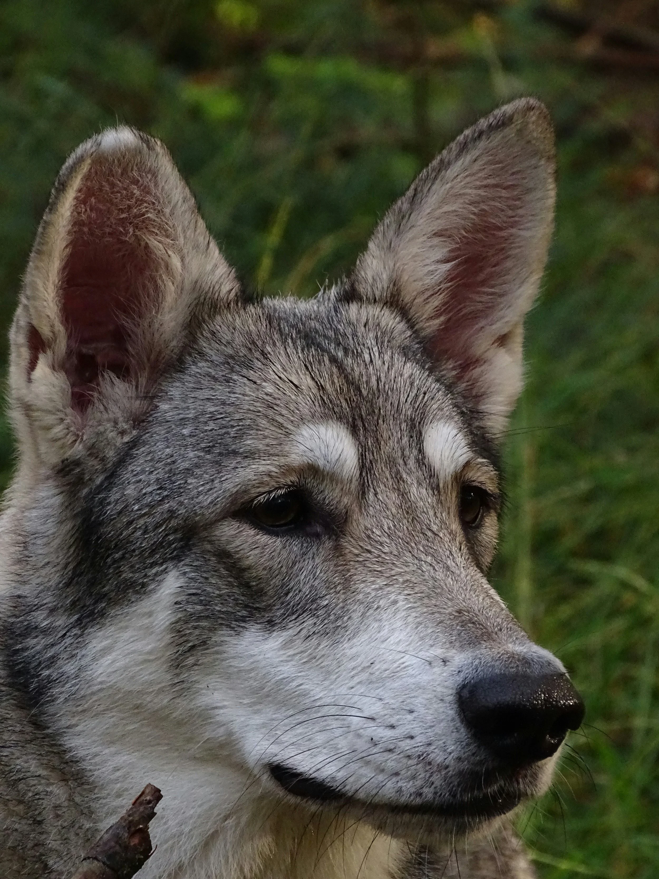 Aldo Houtkamp/unsplash.com