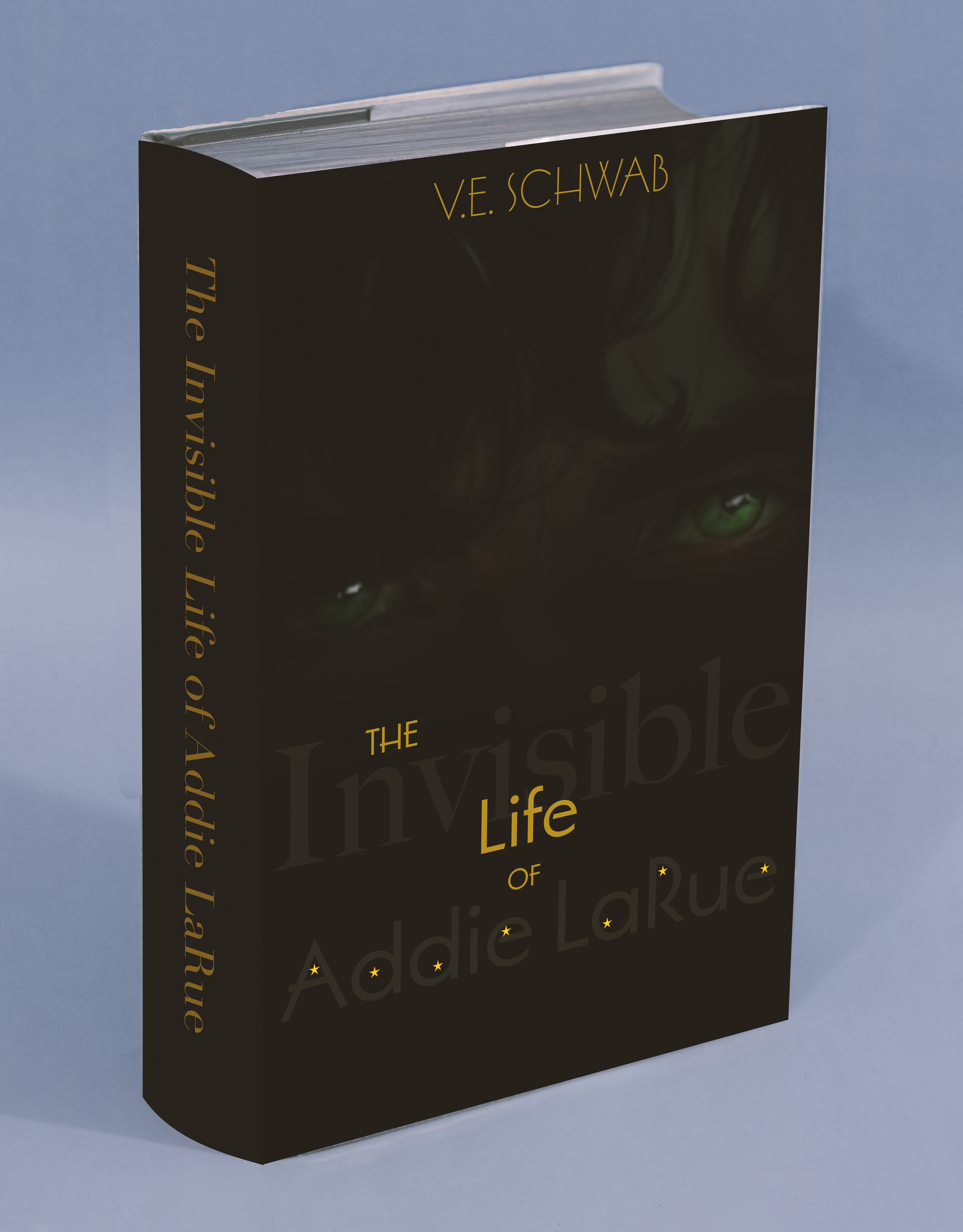 Invisible life book cover mockup.png