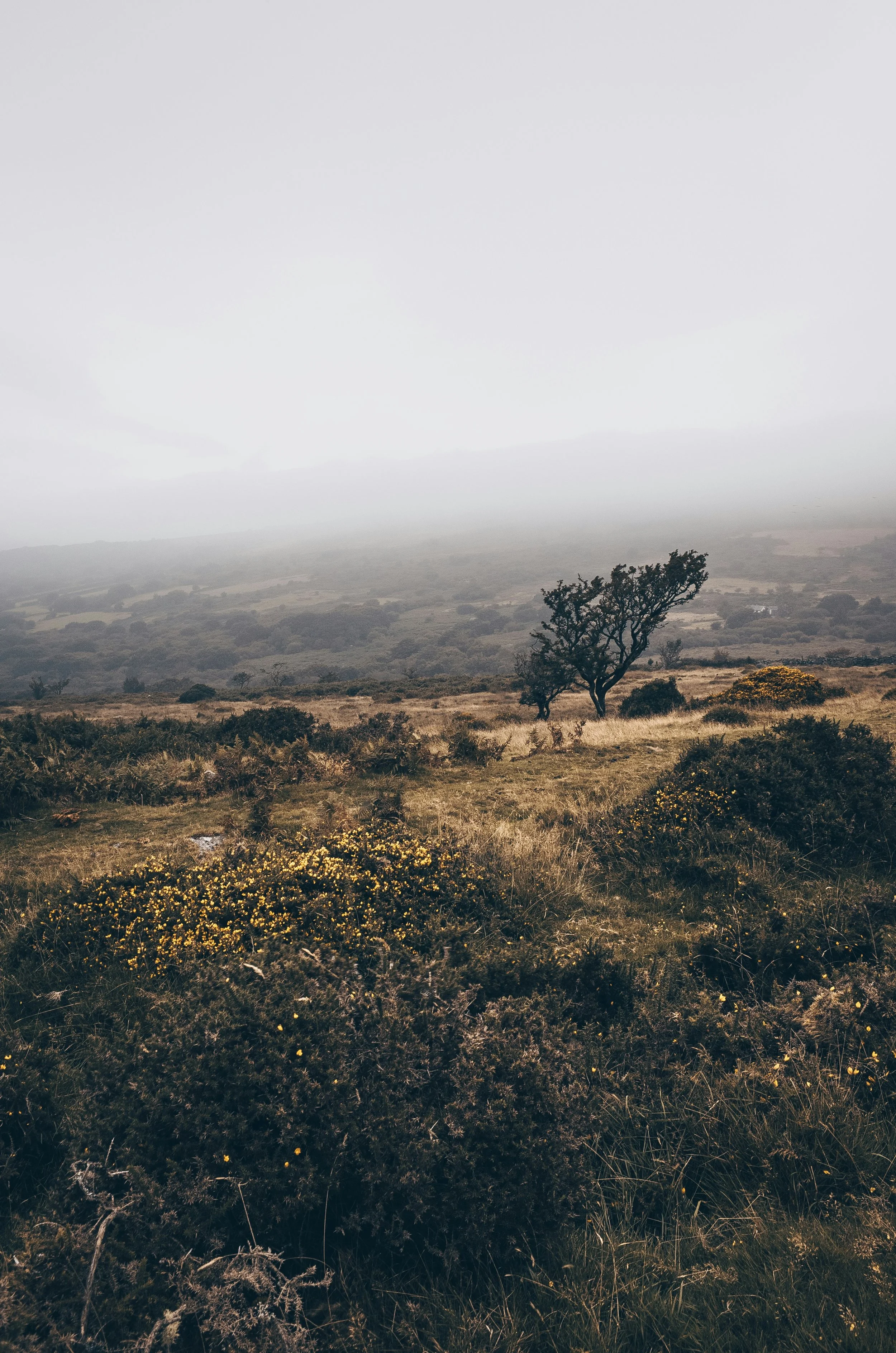 jill diamond/unsplash.com