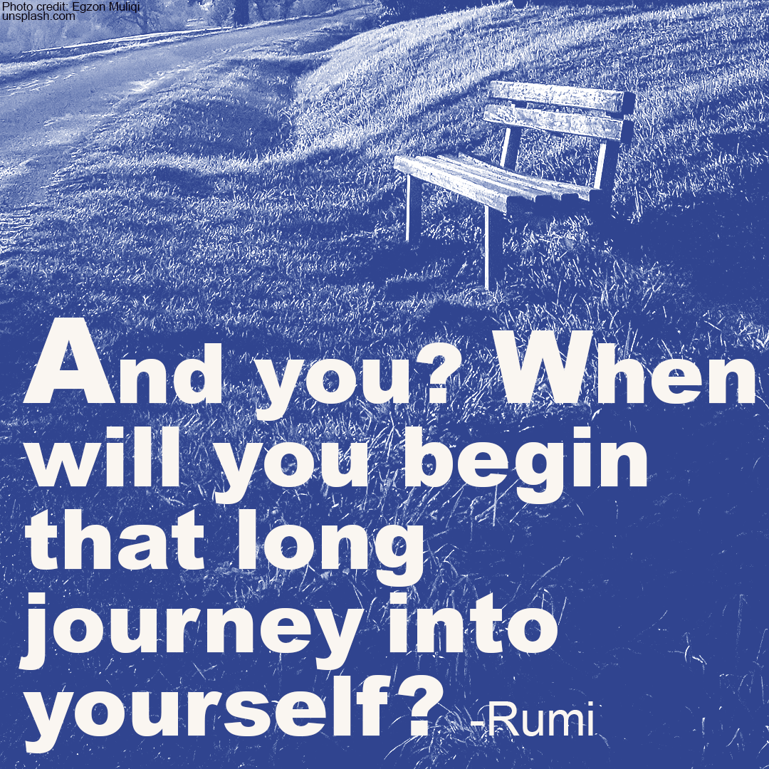 social media quote.png