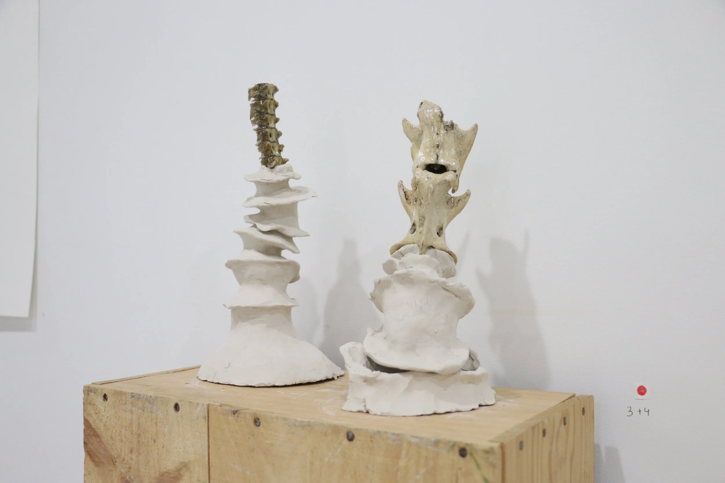 Spine Candlesticks, 2024