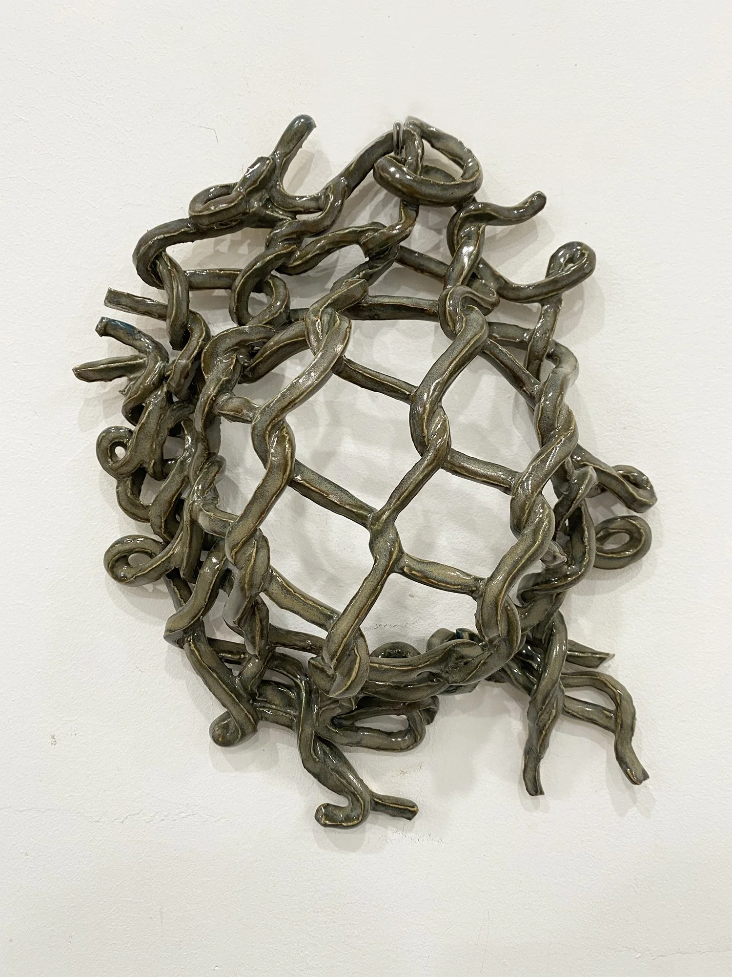 Turtle Fence, 2024