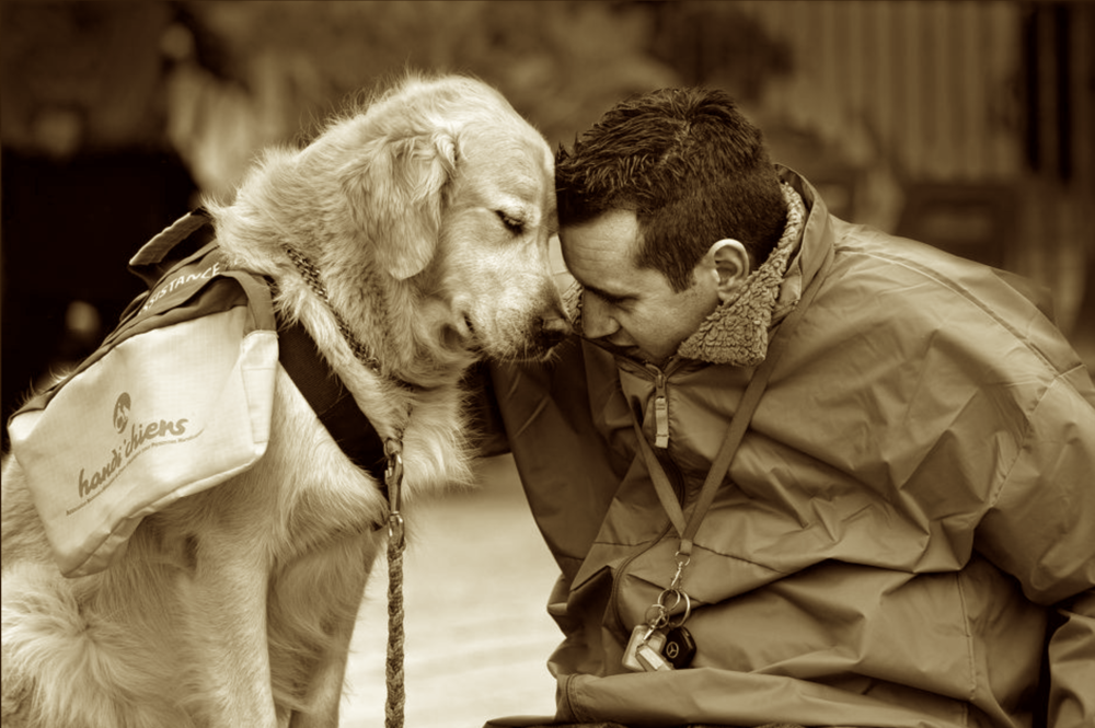 SERVICES — Veterinary Social Work Solutions