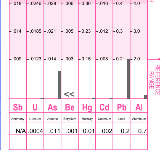 Case study: 1 year old with heavy metals and a dozen food reactions.