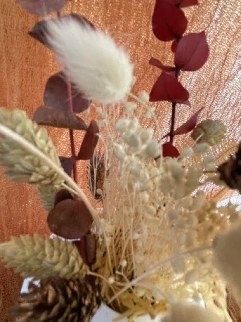 IMG_5769 Medium.jpeg