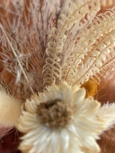 IMG_5767 Medium.jpeg