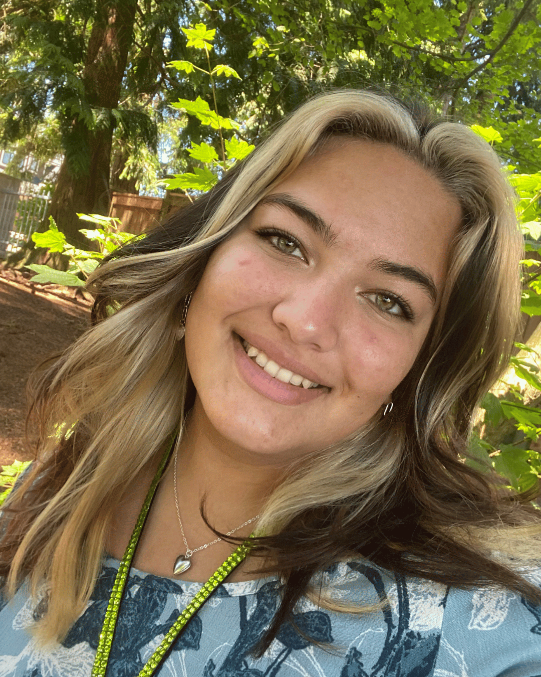 A Transformative Year: Sierra’s Update 