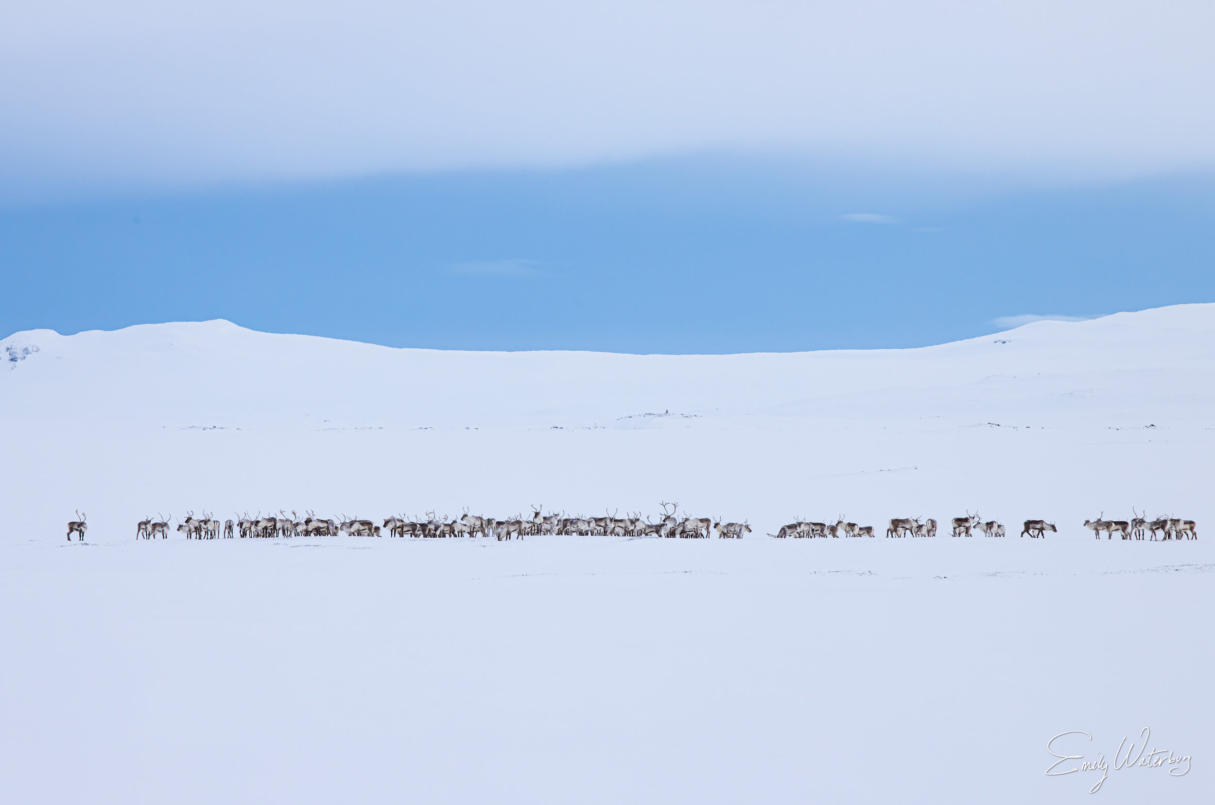 SantasLineup_signed.jpg