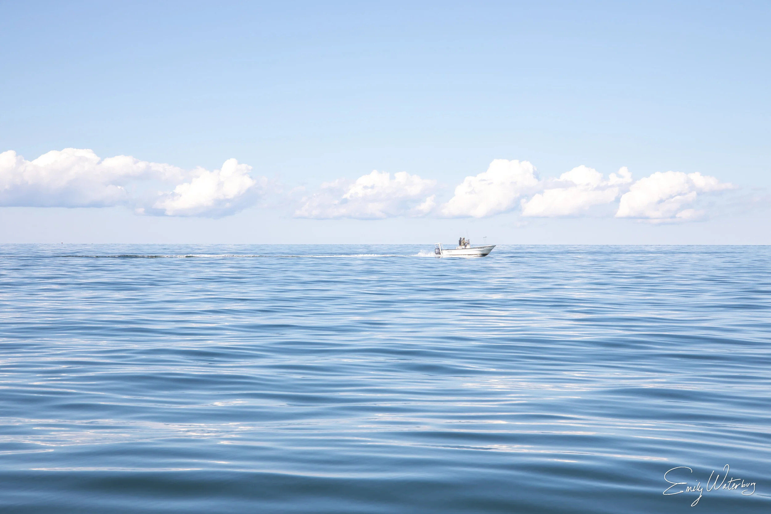 BoatDay_signed.jpg