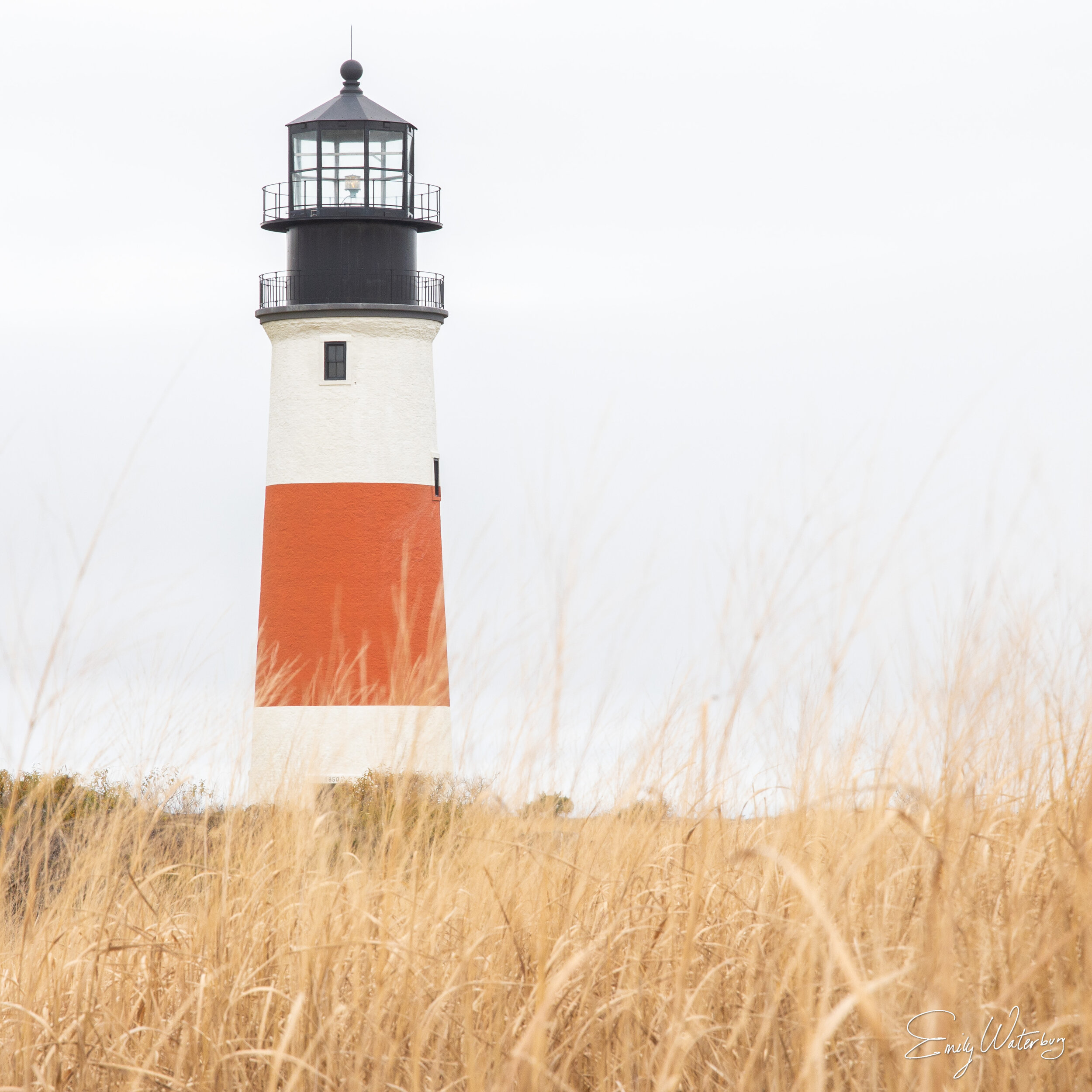 SankatyLighthouse_signed.jpg