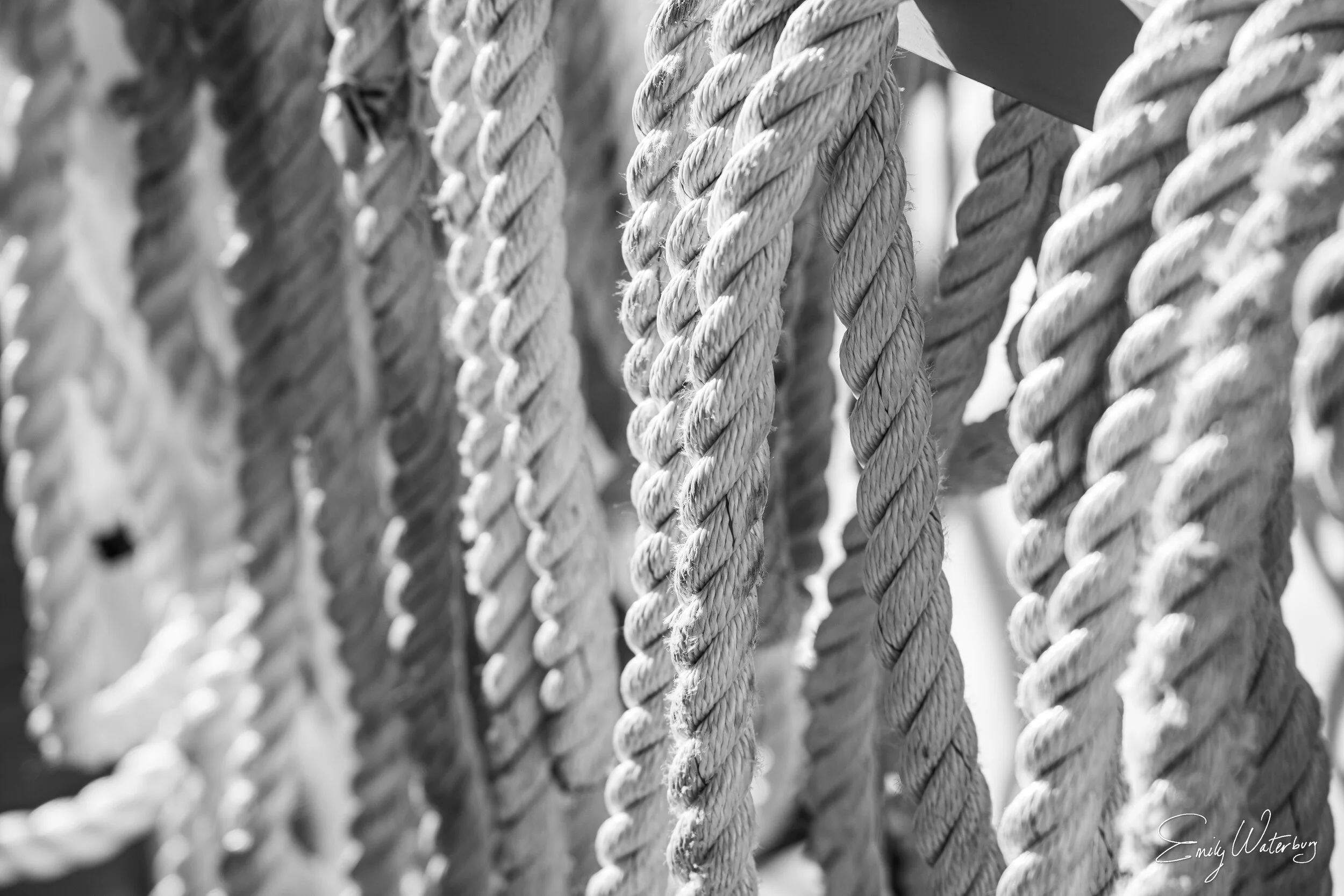 Ropes in a Row_signed.jpg