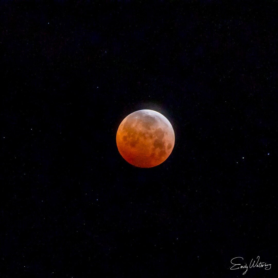 Super Blood Moon from the total lunar eclipse around 4:20 this morning in LA. So grateful I was able to witness such a beautiful phenomenon! The lack of sleep was well worth it!⠀⠀⠀⠀⠀⠀⠀⠀⠀
⠀⠀⠀⠀⠀⠀⠀⠀⠀
This was taken along the Pacific Coast Highway on the