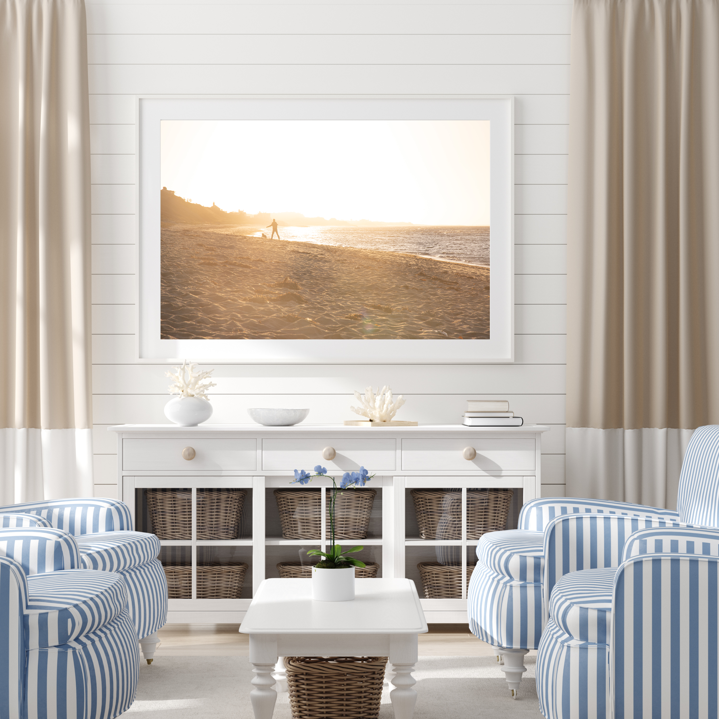 Playing Fetch at Steps - ACK Living Room.png
