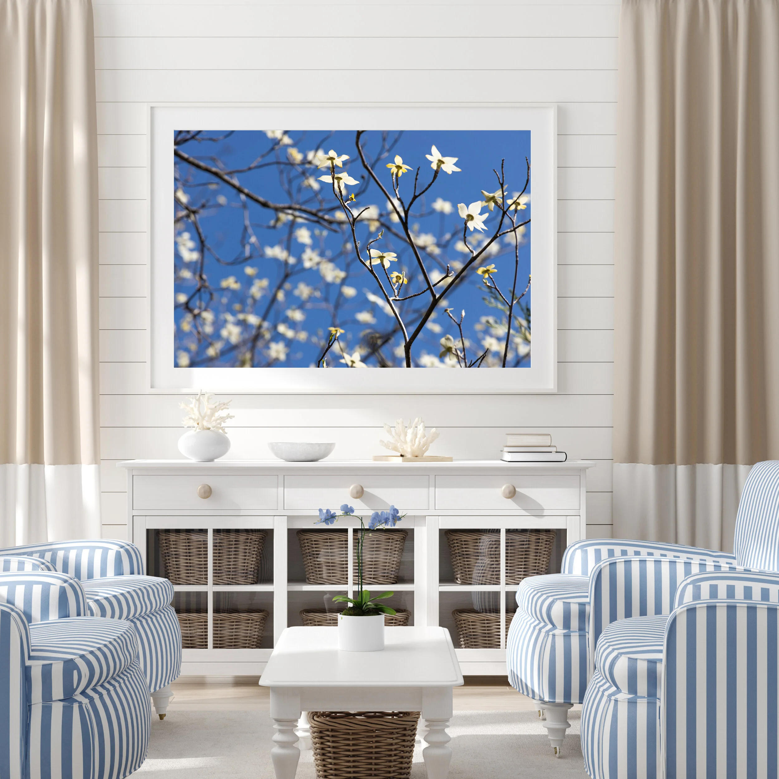 Dogwoods.jpg