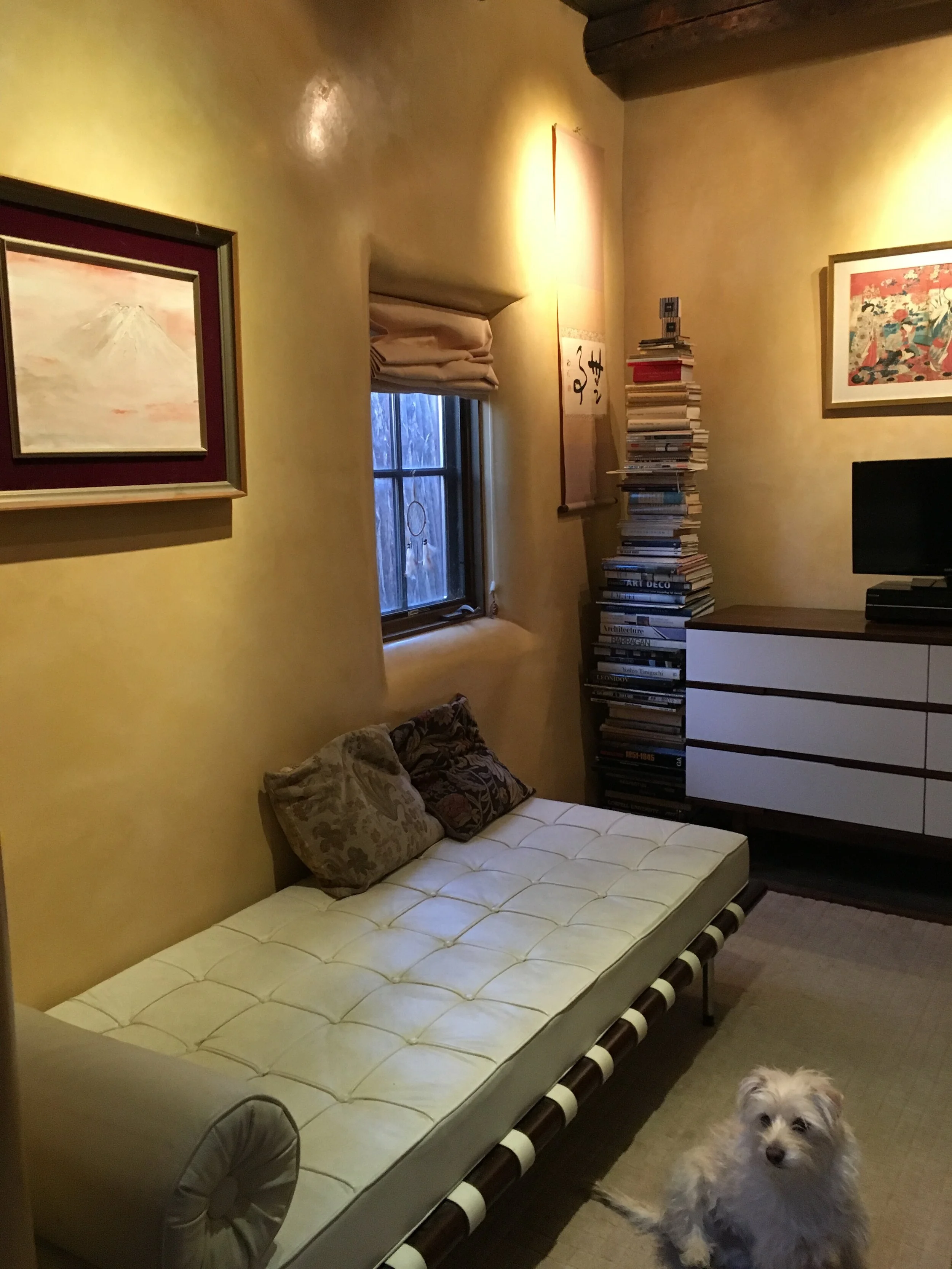 952F7308-B0ED-4C47-AC28-C328ADE5E129.jpeg