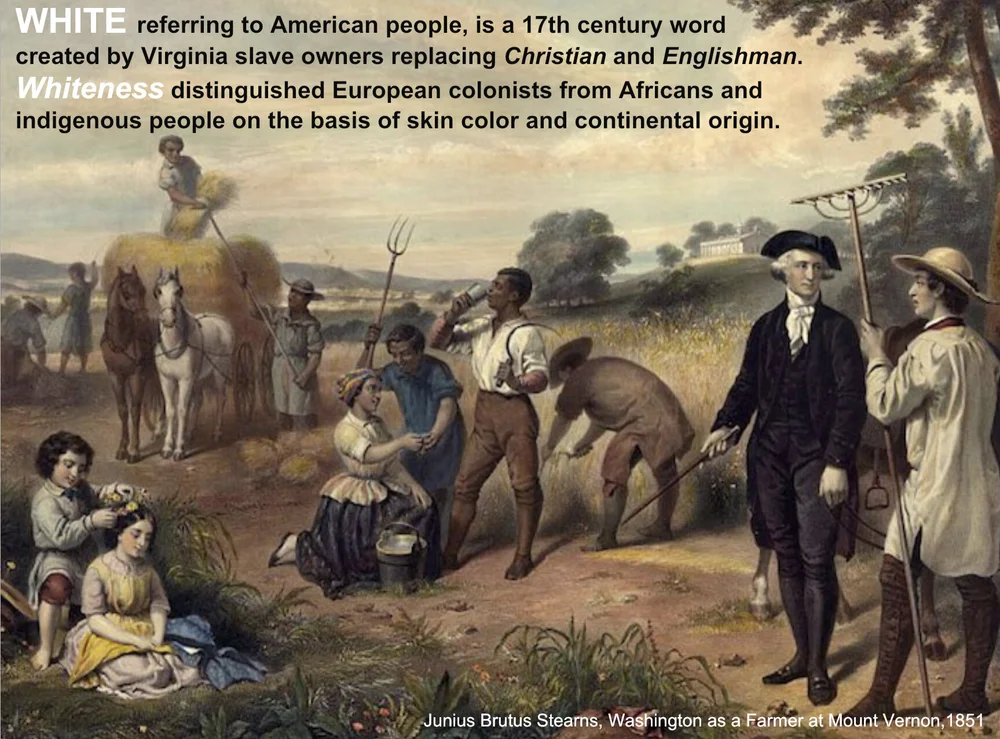 59124680-6BA8-4E98-8E94-EEA75A97B31C.jpeg