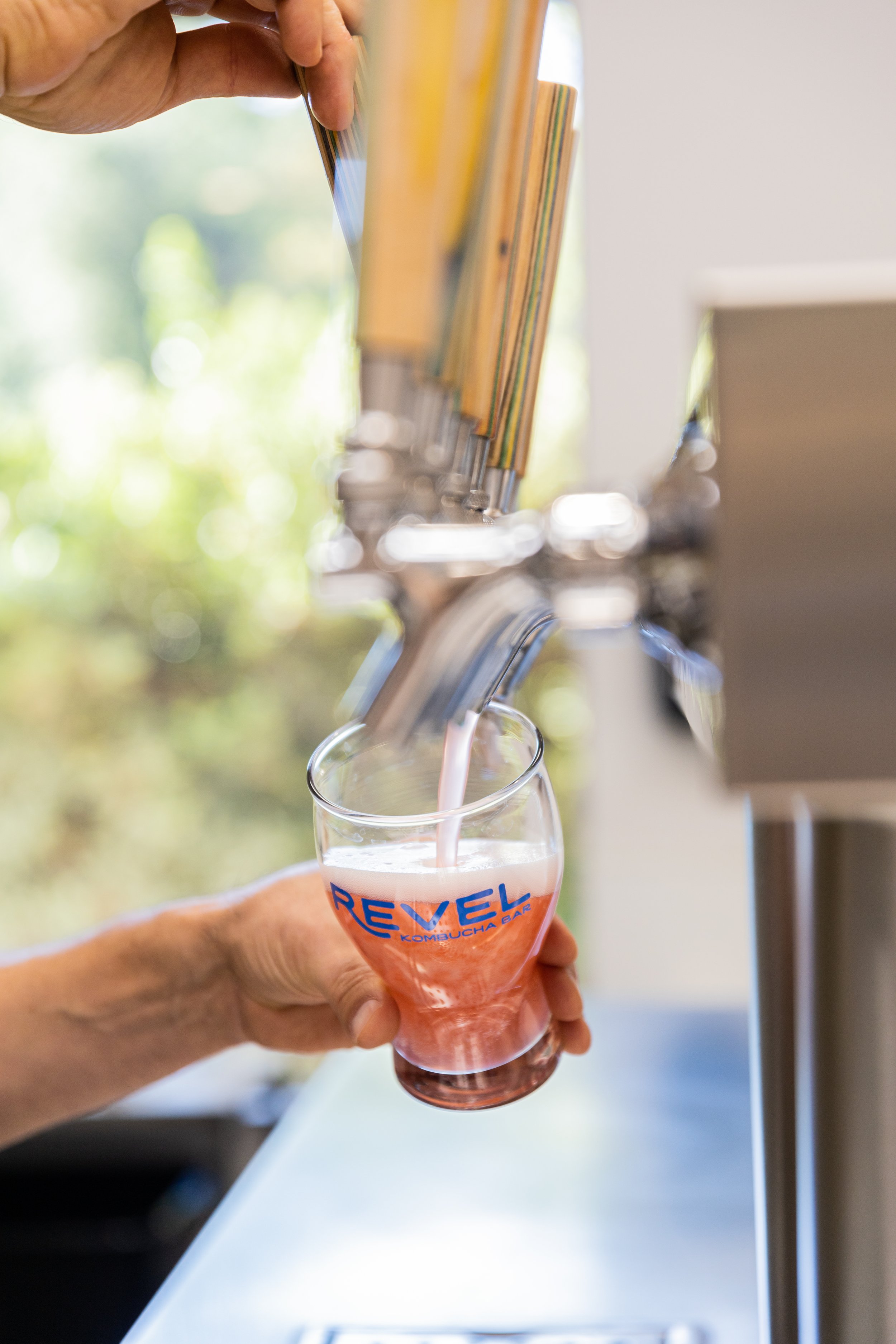 The benefits of kombucha.