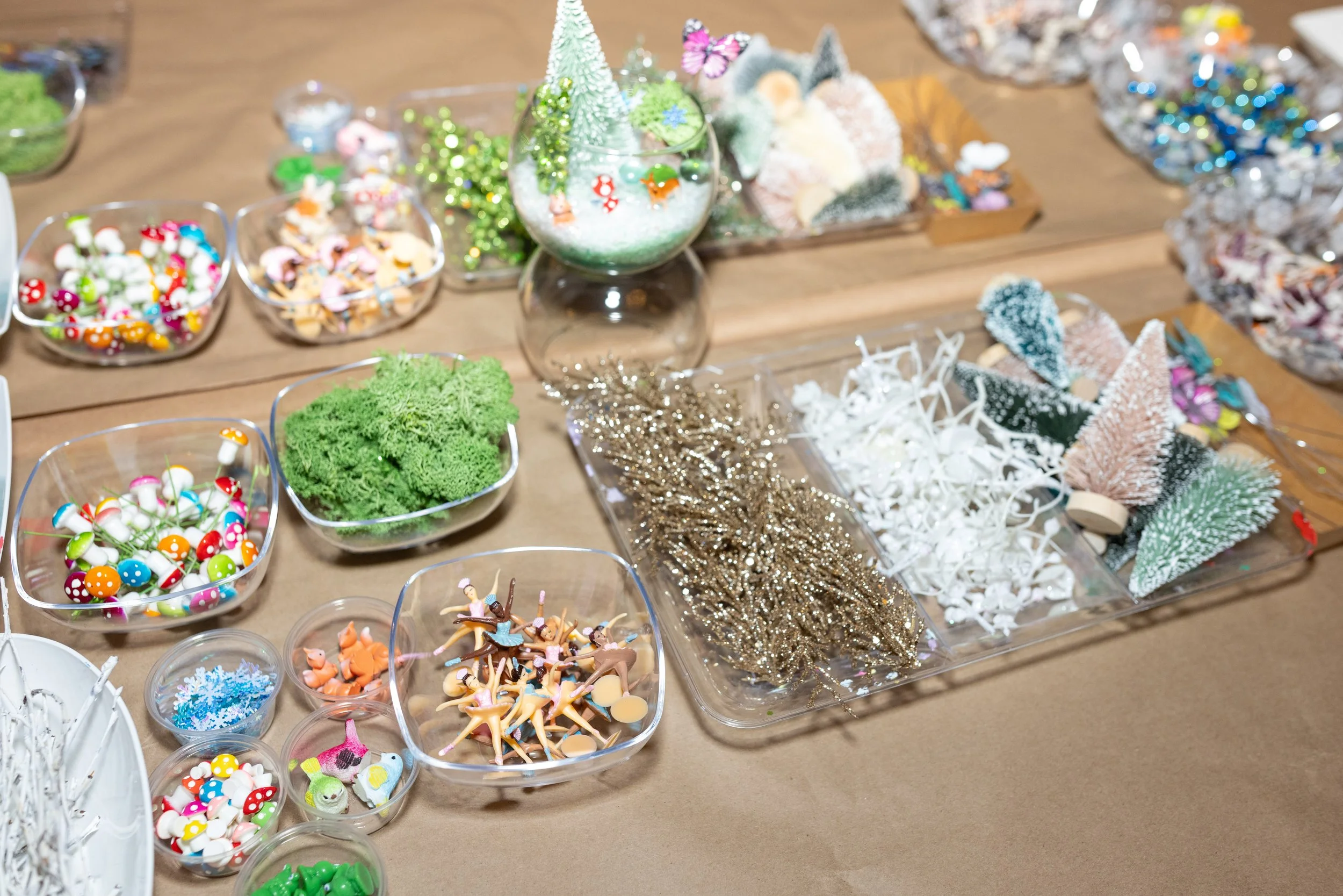 CeylonMitchell_320A0095 (1).jpg