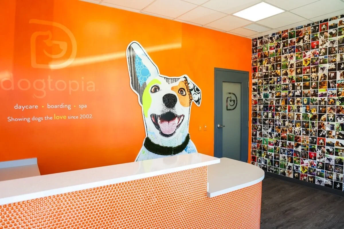     

 Dogtopia  


 View Project 

 Tenant Improvement, Office 