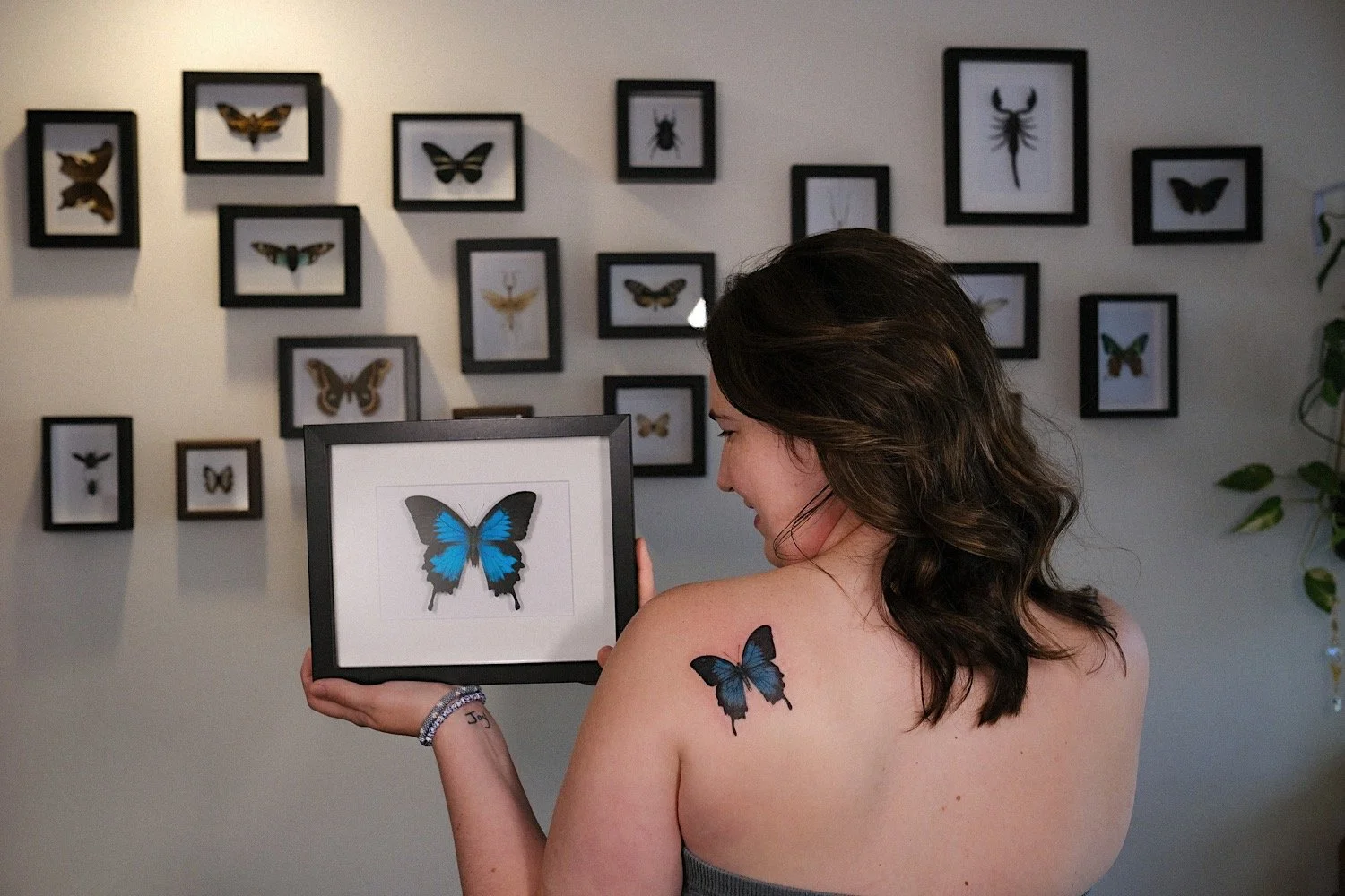 Woman displaying framed butterfly art on a wall with other butterfly images in frames, shoulder tattoo of a blue butterfly, dark curly hair, gray strapless top, bracelet on left wrist, in a room with a plant on the side.
Butterfly Tattoo Austin Texas