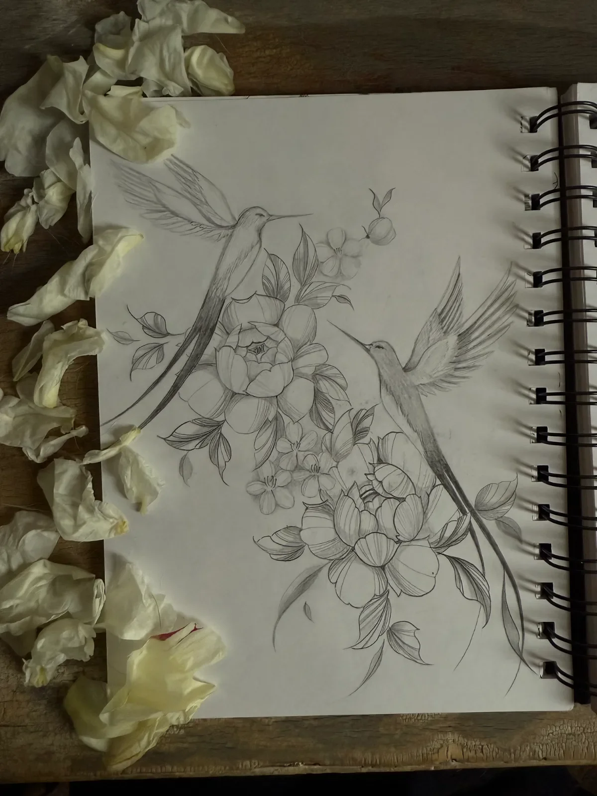 hummingbird + floral concept