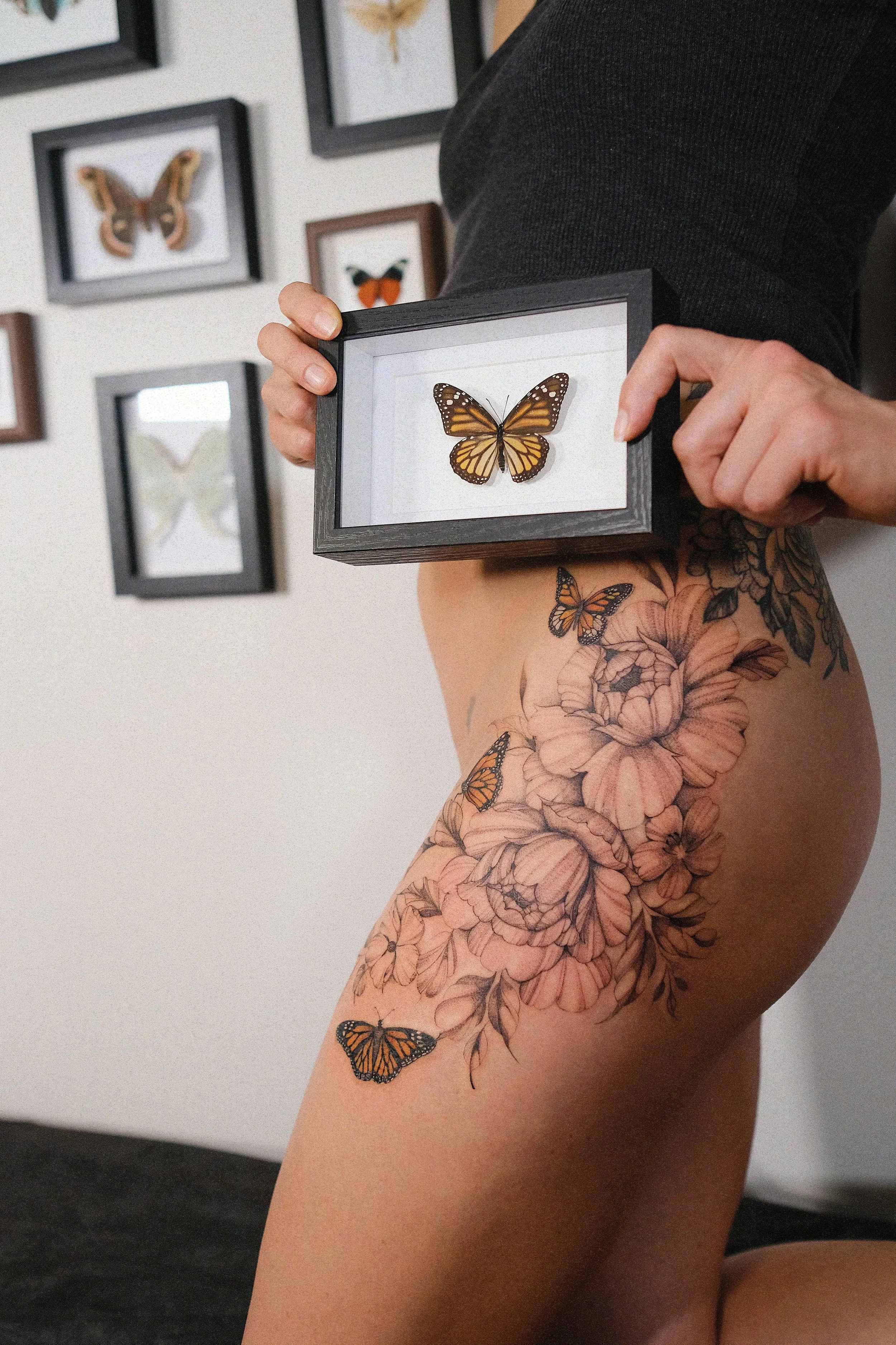 A person with tattoos on their arm holding a framed butterfly specimen, with framed butterfly artwork on the wall behind them.