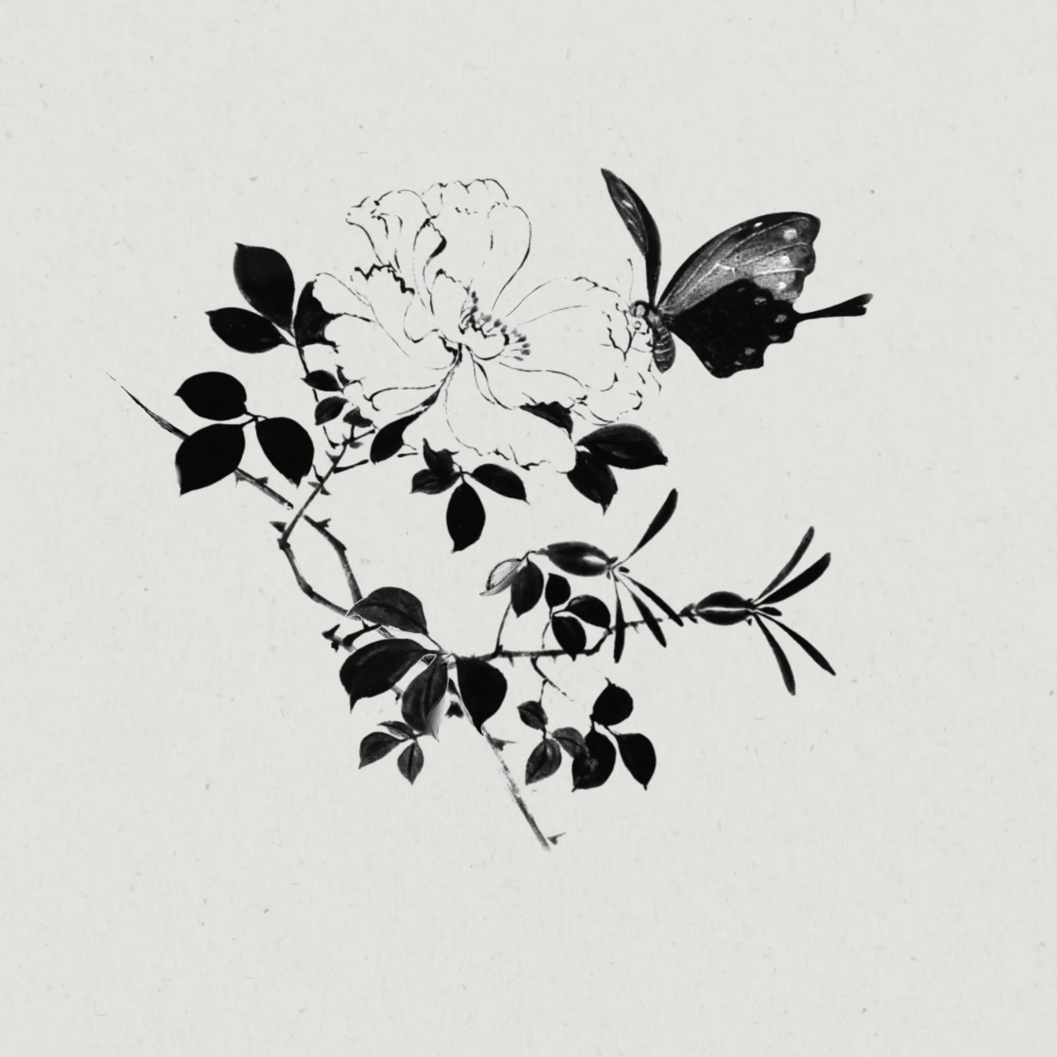 butterfly + floral  | INK