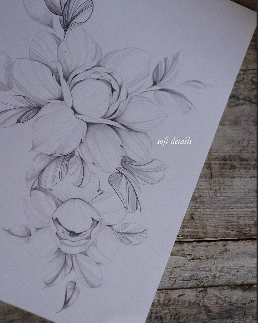 A sketch of a floral design with detailed petals and leaves, accompanied by the words "soft details" on white paper on a wooden surface.