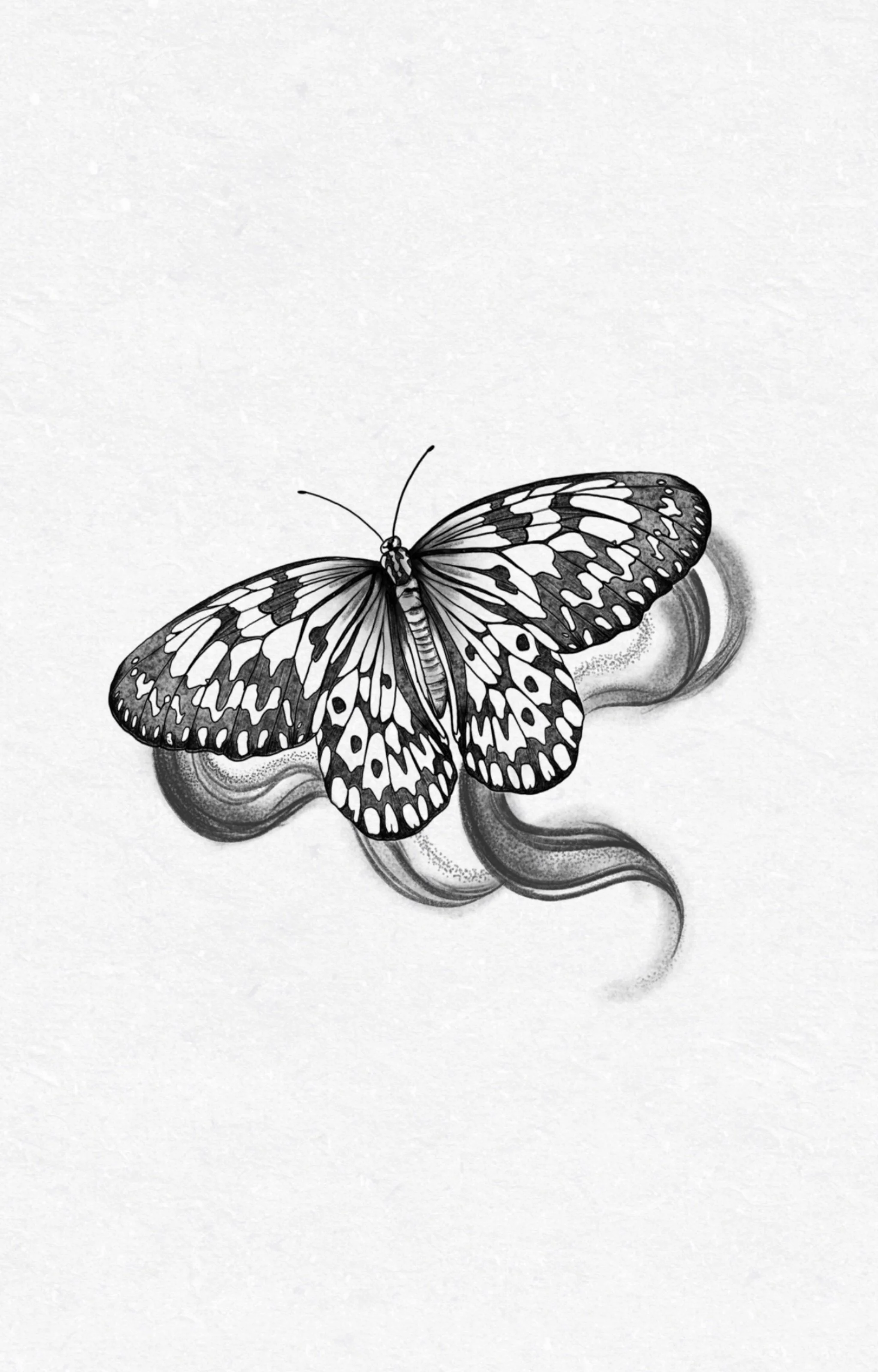 dream butterfly