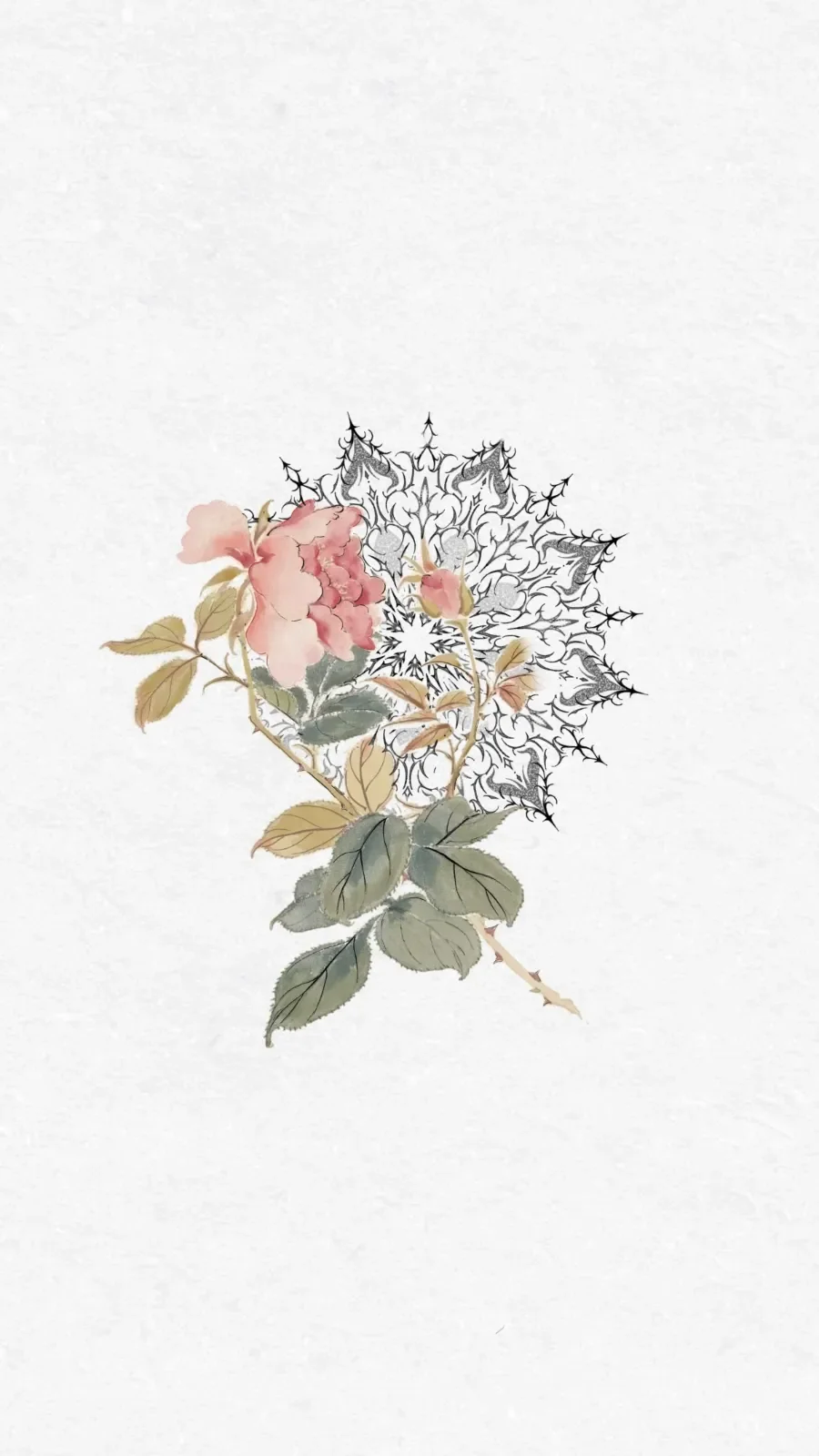 floral study & gothic mandala