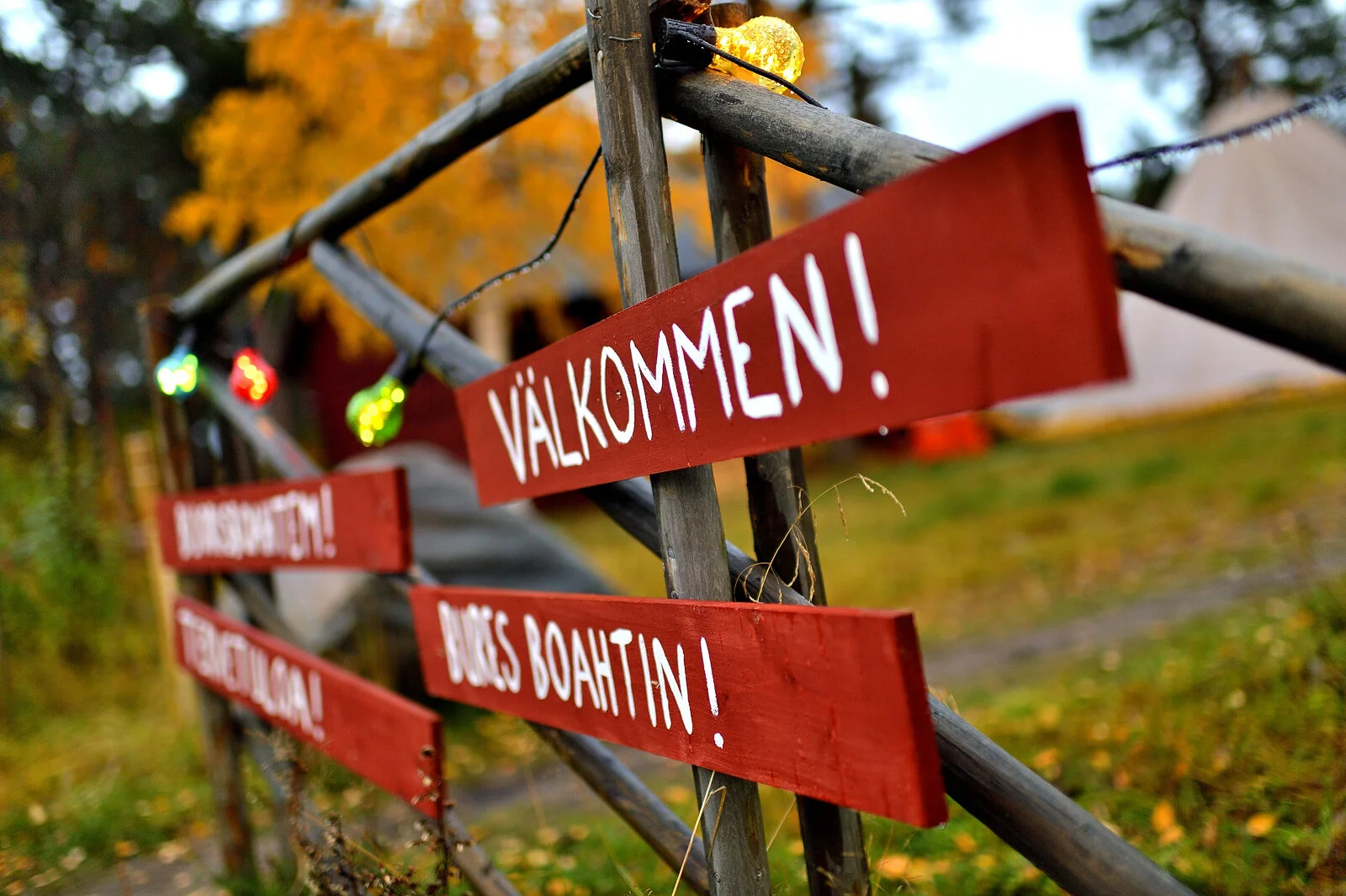 22/8 Lördag