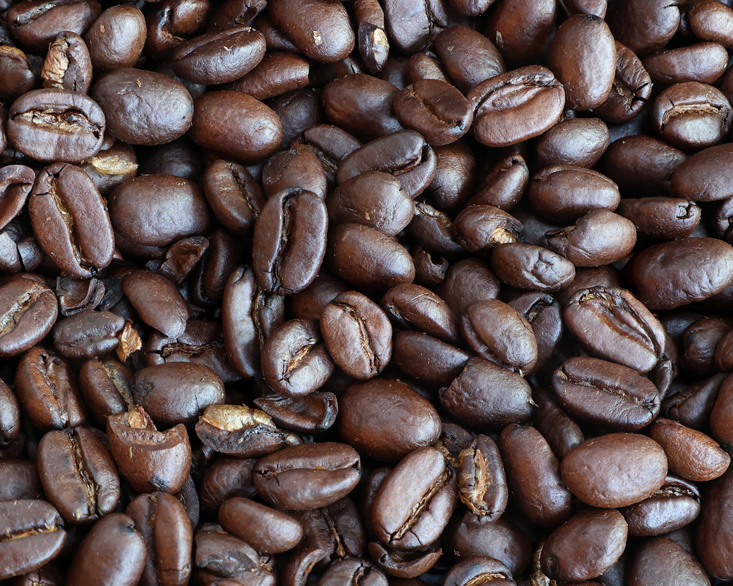 CBeans1.7.6.2026TP.jpg