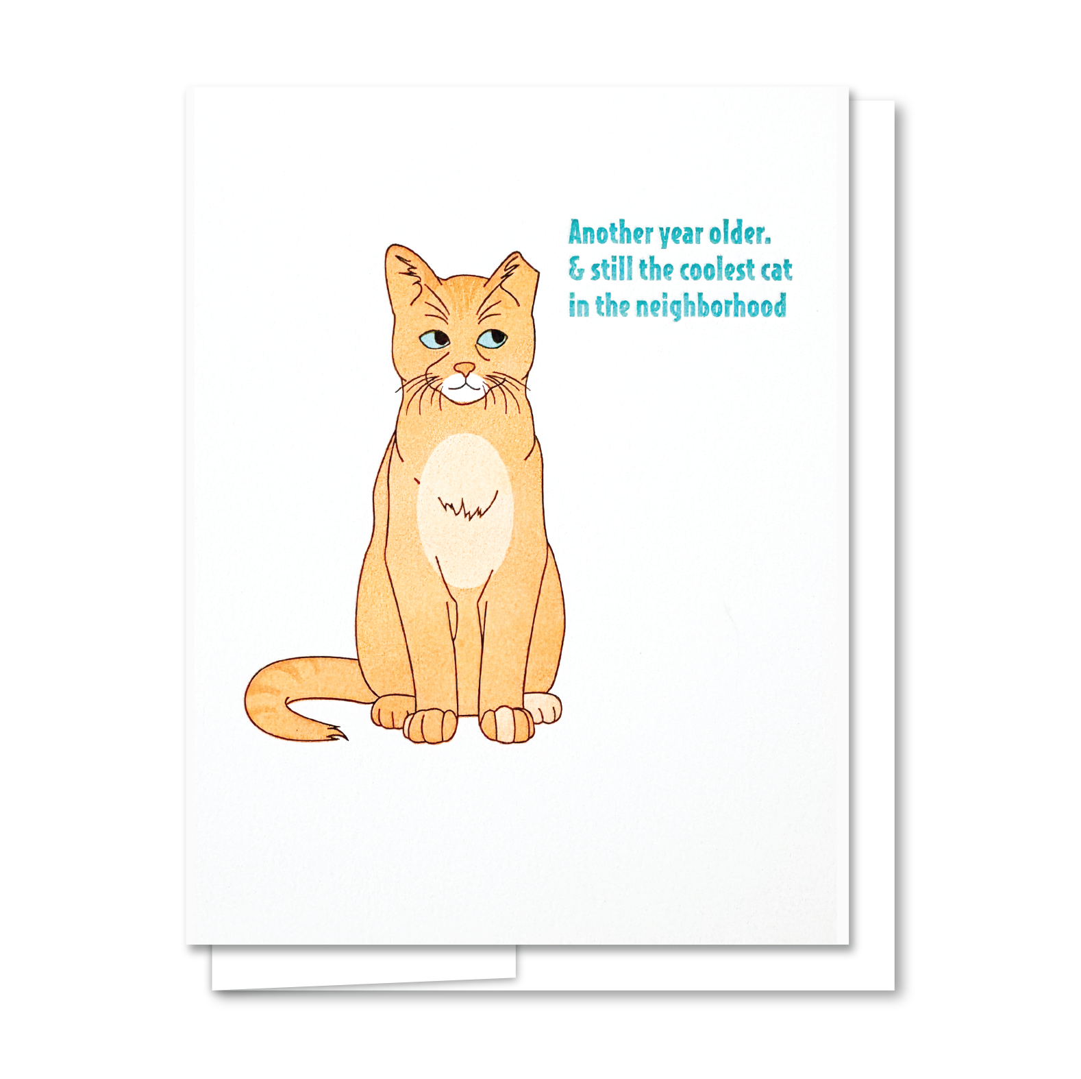 GC412_coolcatbday.png