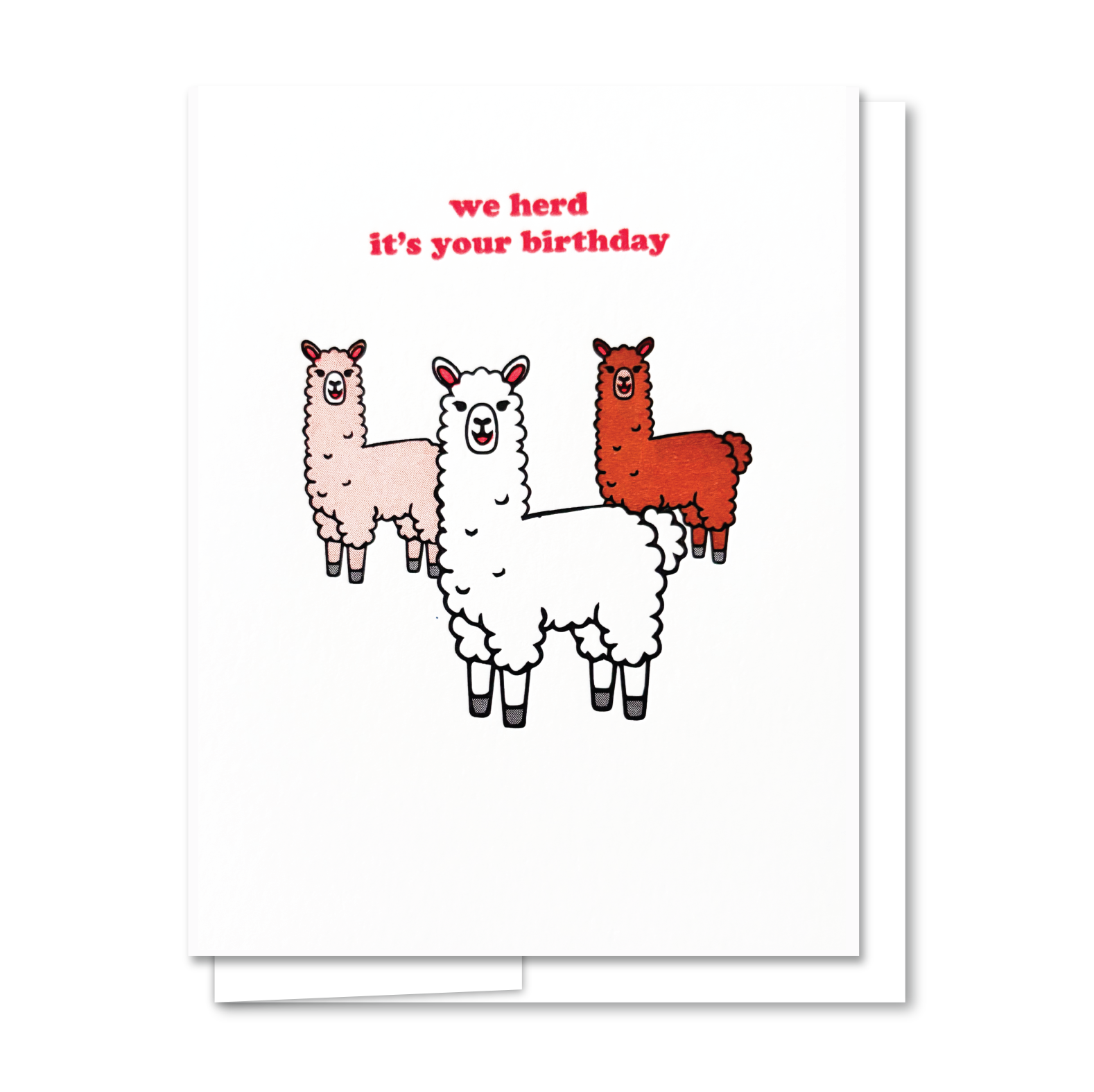 GC411_herdbday.png