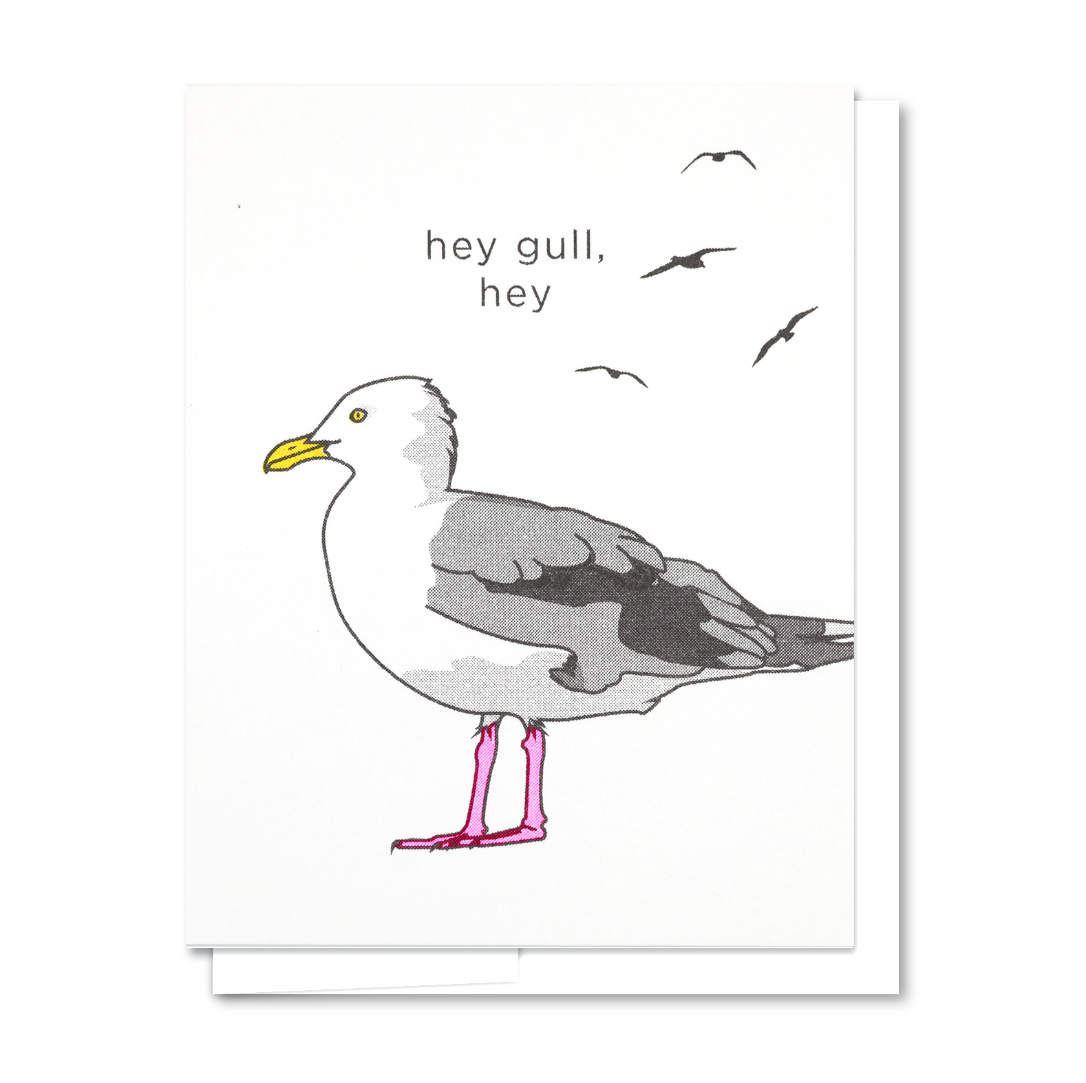 GC430_heygullhey_pic.png