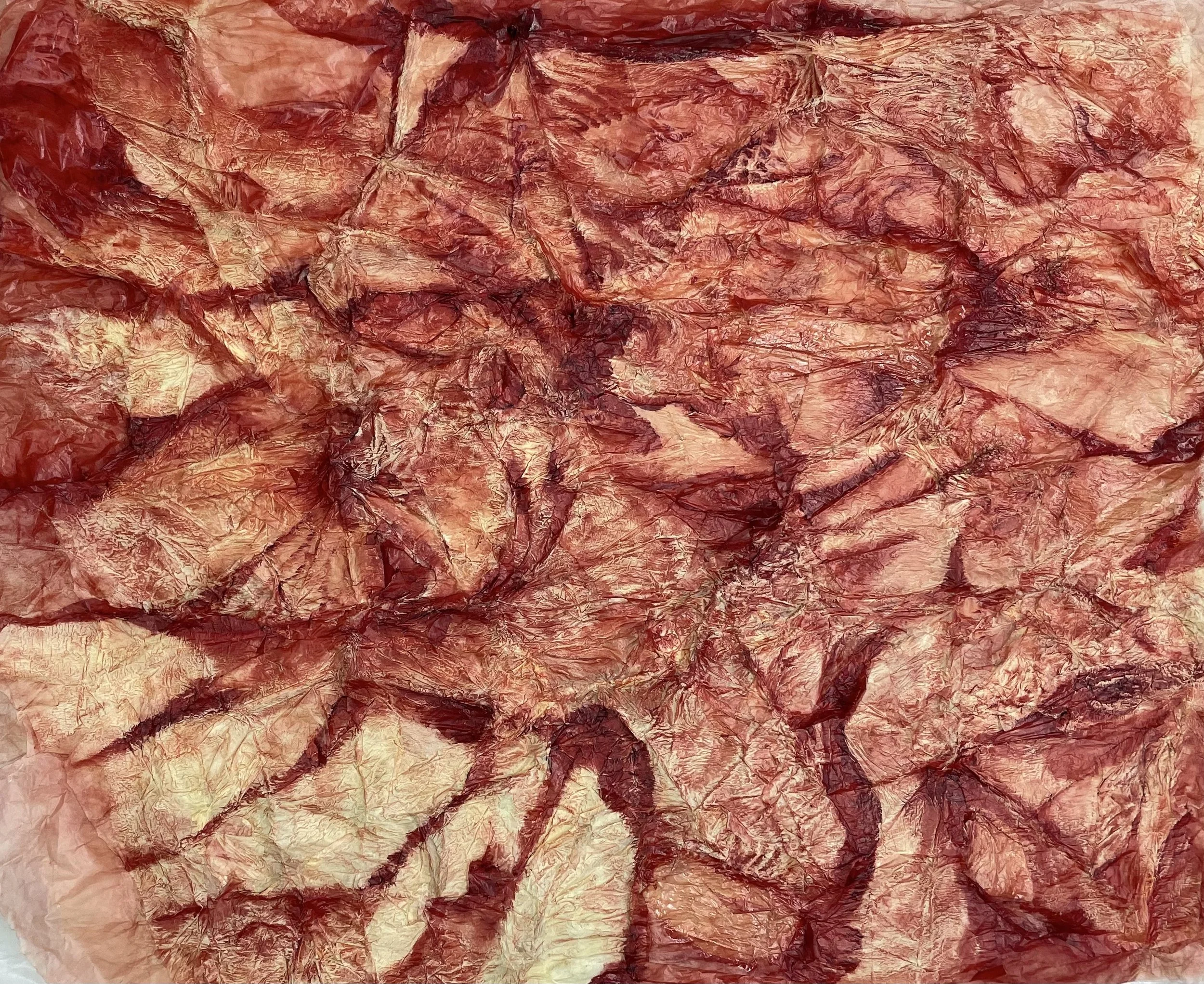 Taking Shape of skin and tendons