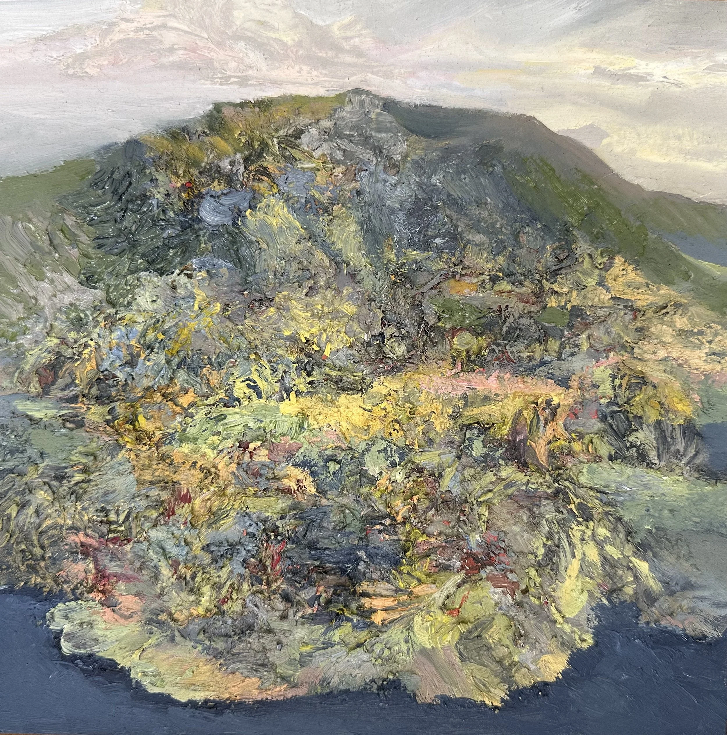 Elevated land 