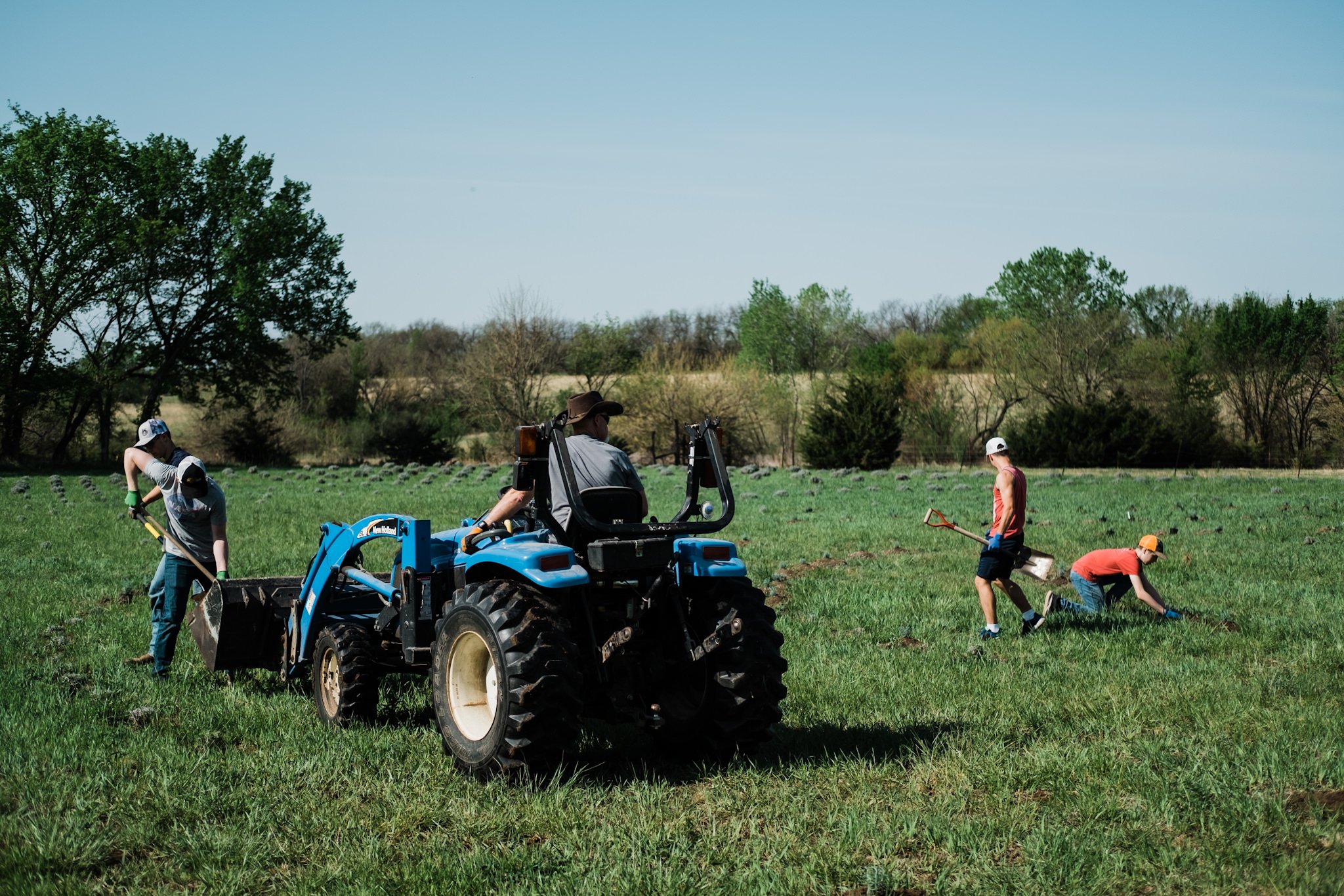 Four Sisters Lavender Farm - Wichita, Kansas - Kansas Lavender Farm-248.jpg