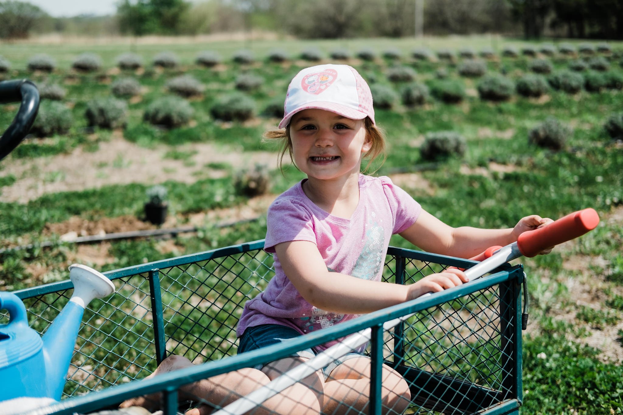 Four Sisters Lavender Farm - Wichita, Kansas - Kansas Lavender Farm-258.jpg