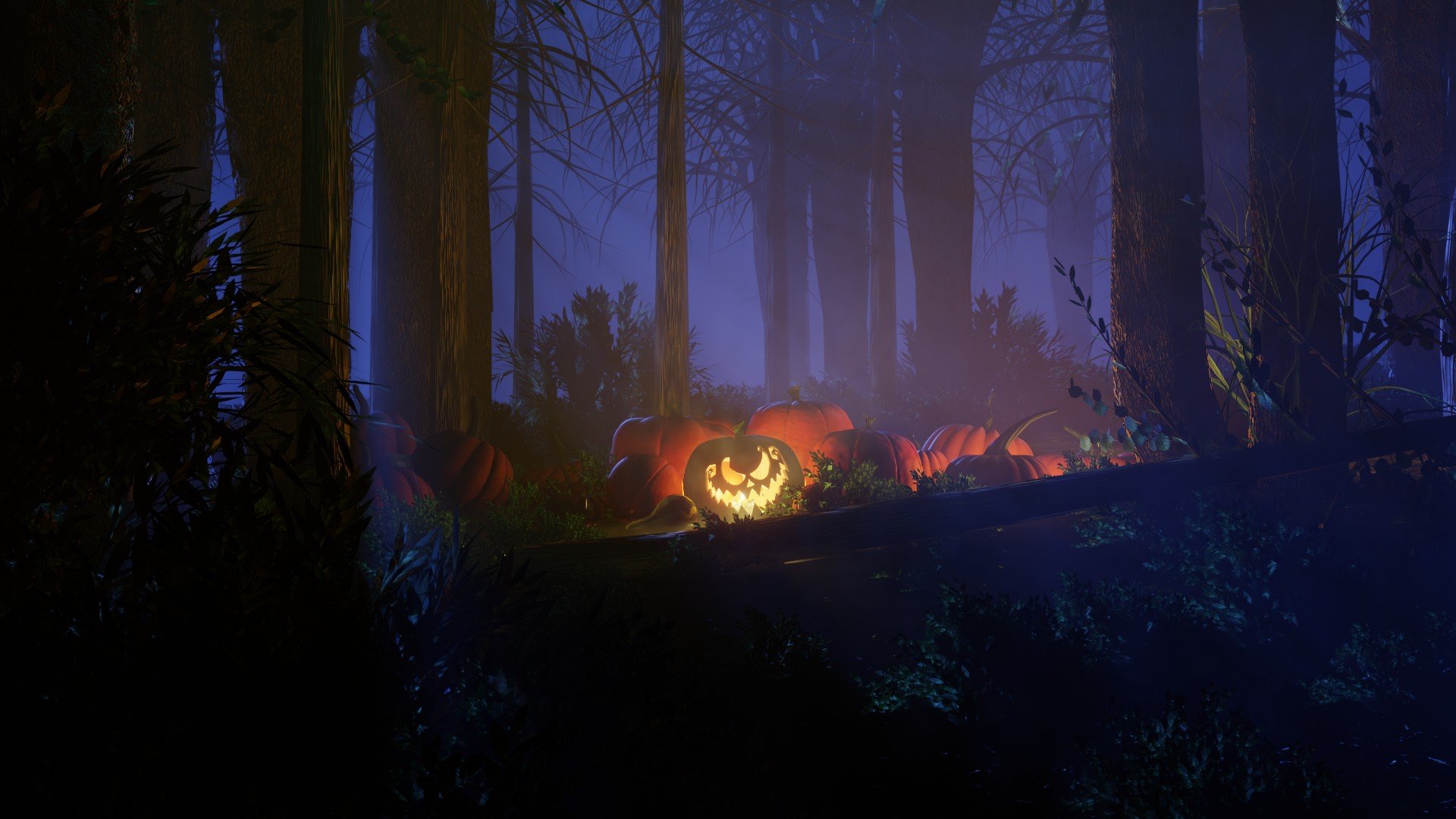 forest0001.jpg