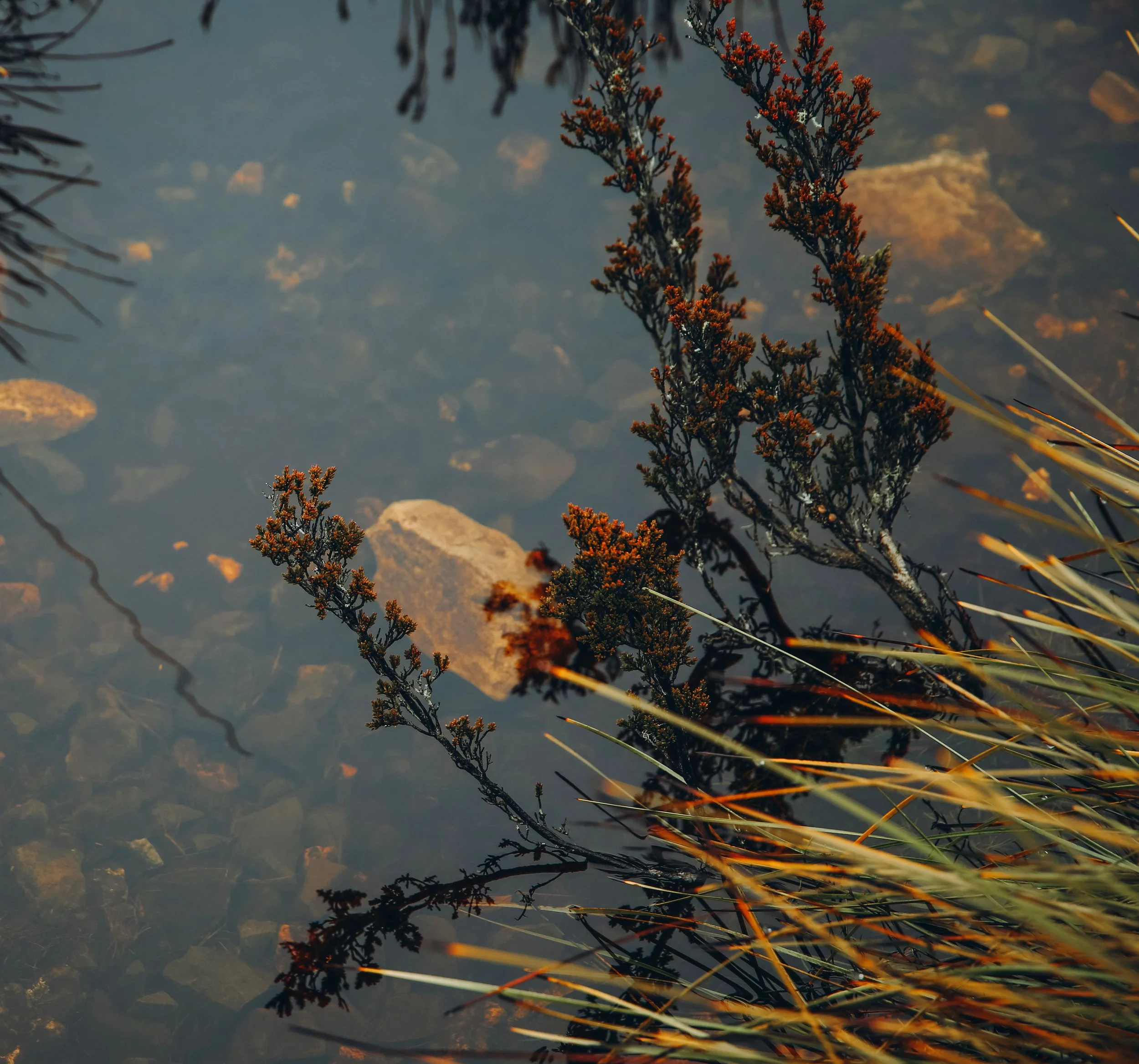 water10.jpg