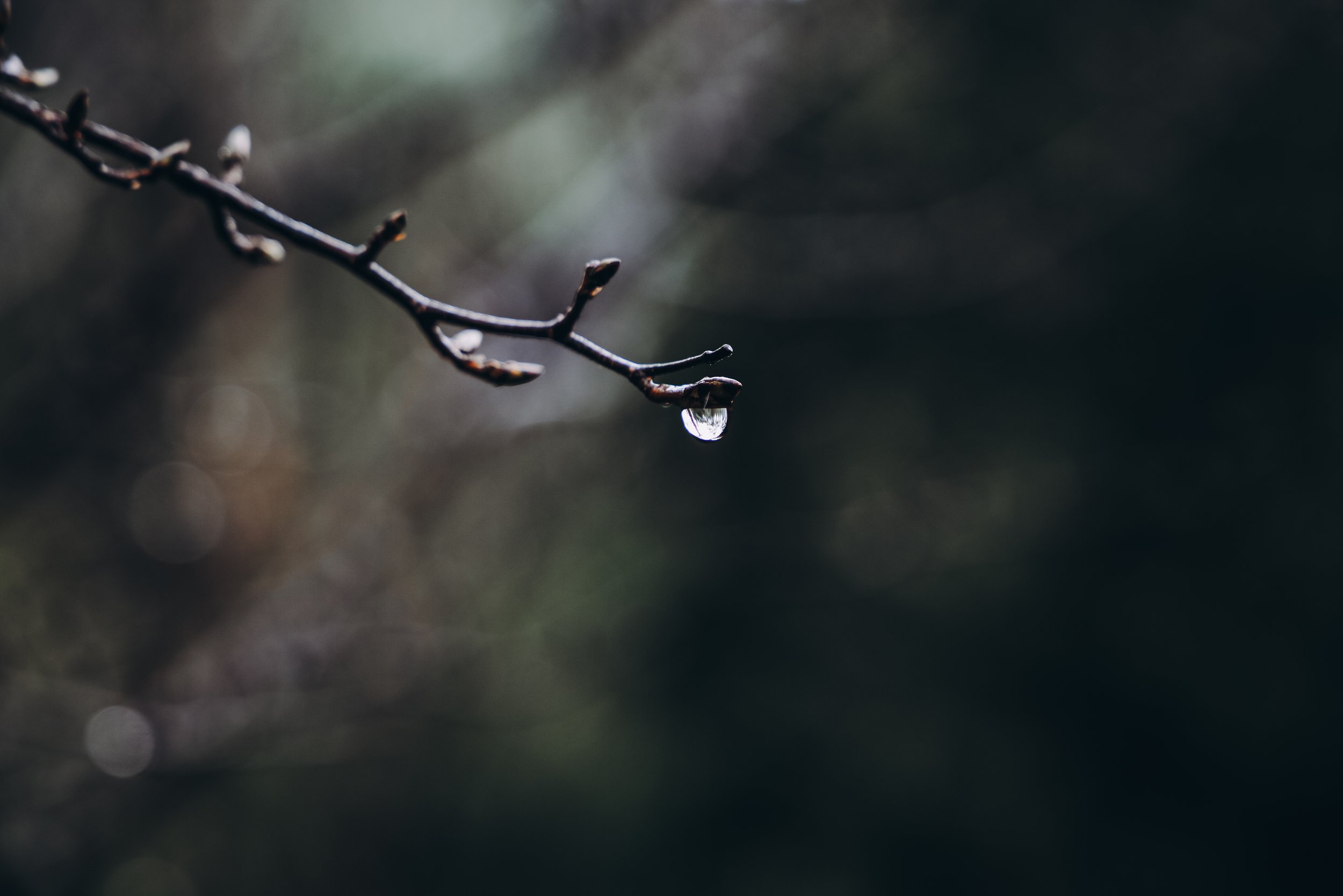 water8.jpg
