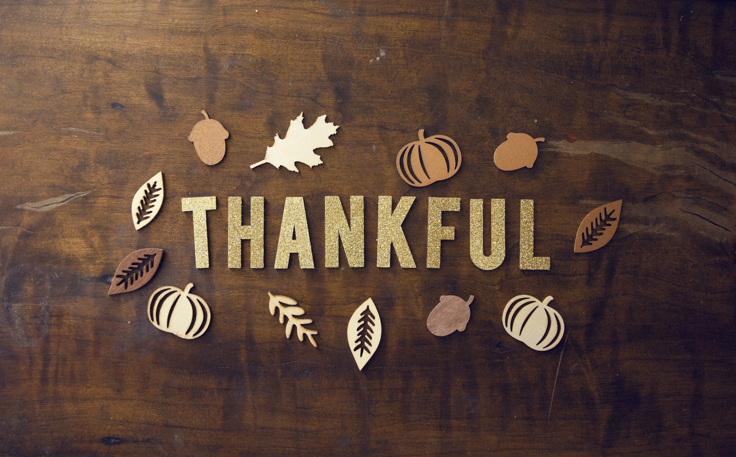 Day 8: Why Thanksgiving Should Be the First Step in Prayer