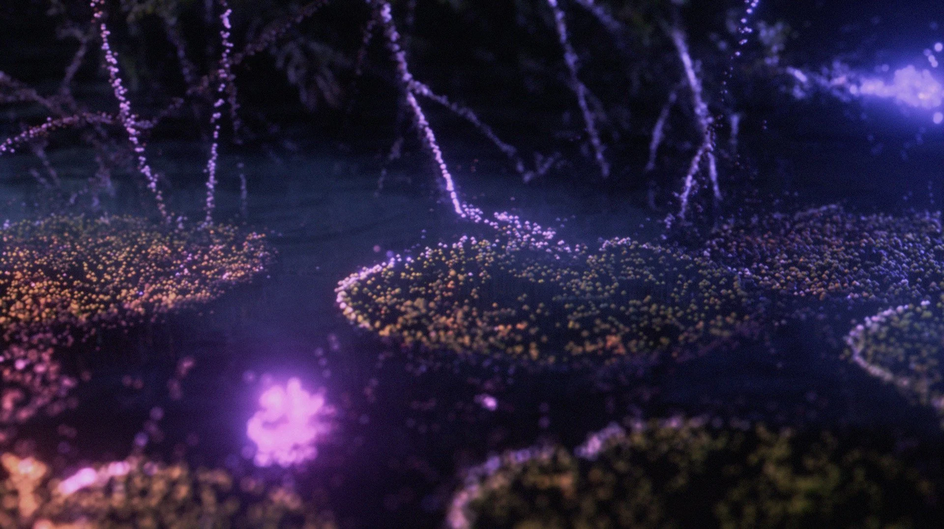 ATLAS IM_scene 02_1.jpg