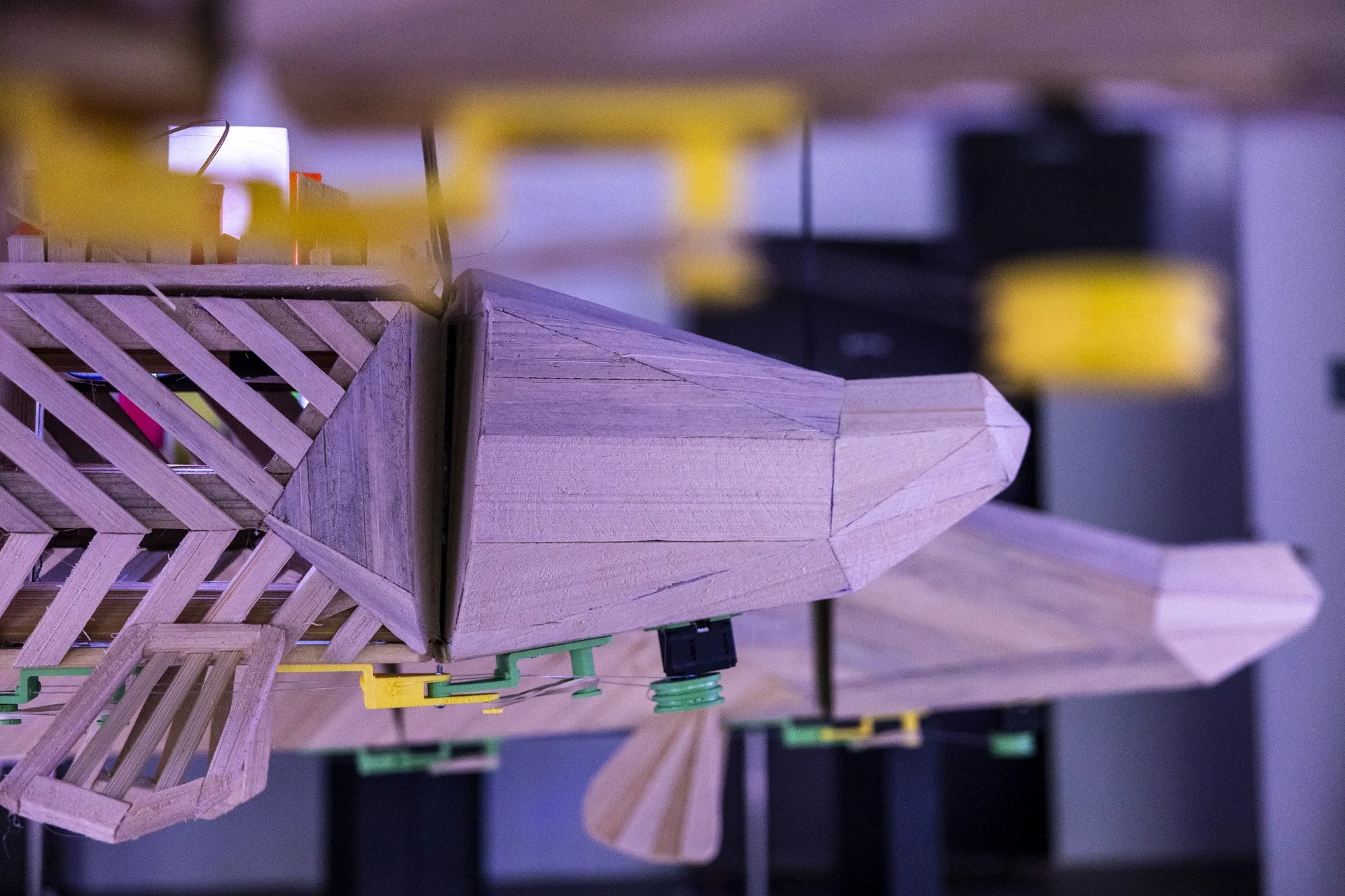 ATLAS IM_exhibition_Bruno_Carachesti_34.jpg